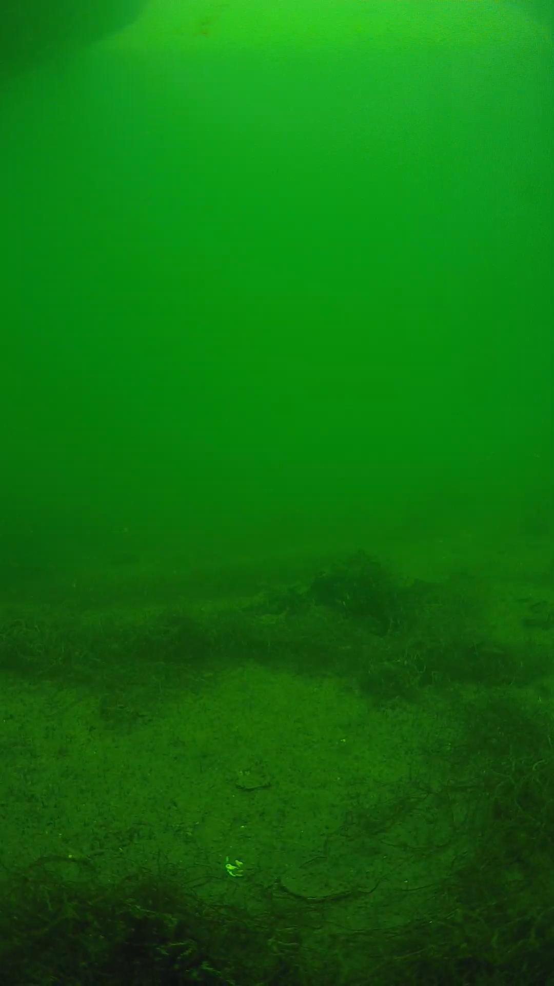 lander_ipcam_20250604143107.png