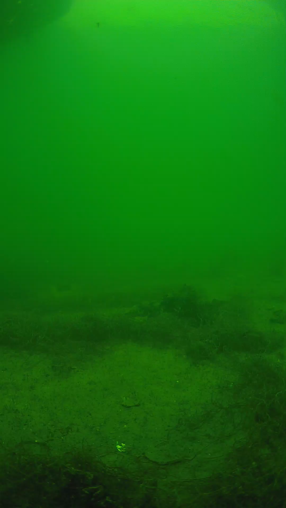lander_ipcam_20250604143112.png