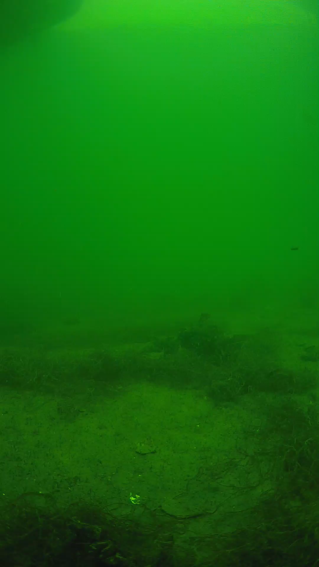 lander_ipcam_20250604143124.png