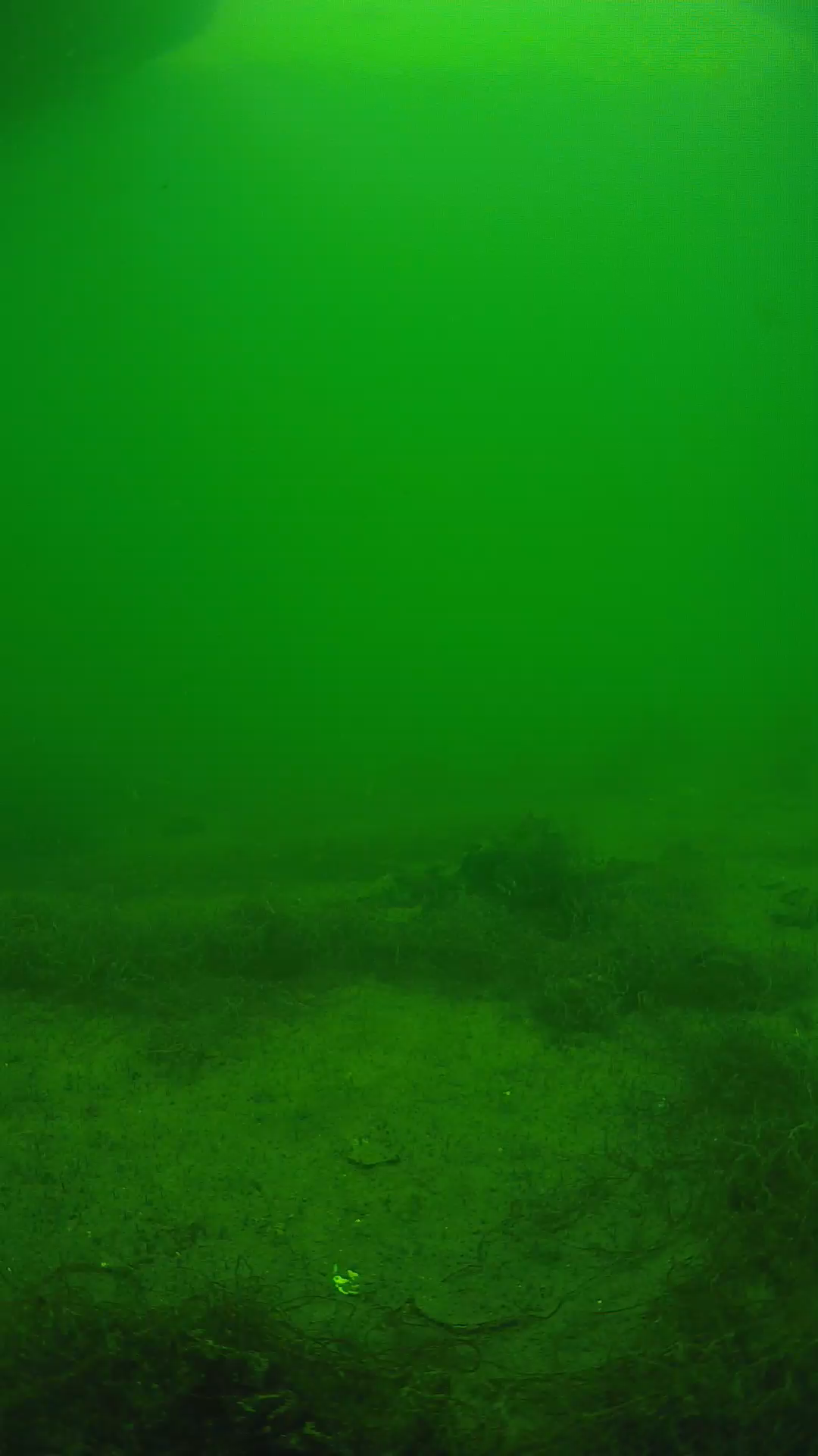 lander_ipcam_20250604143135.png