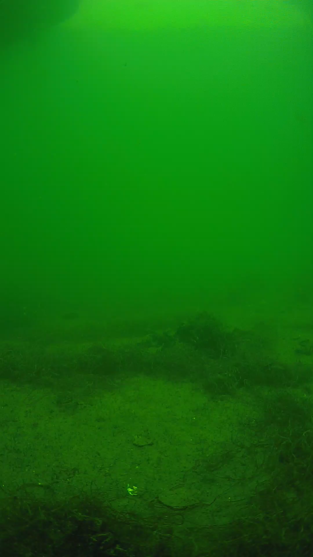 lander_ipcam_20250604143141.png