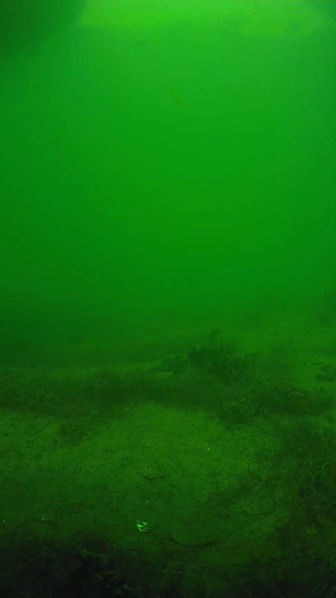 lander_ipcam_20250604144610.png