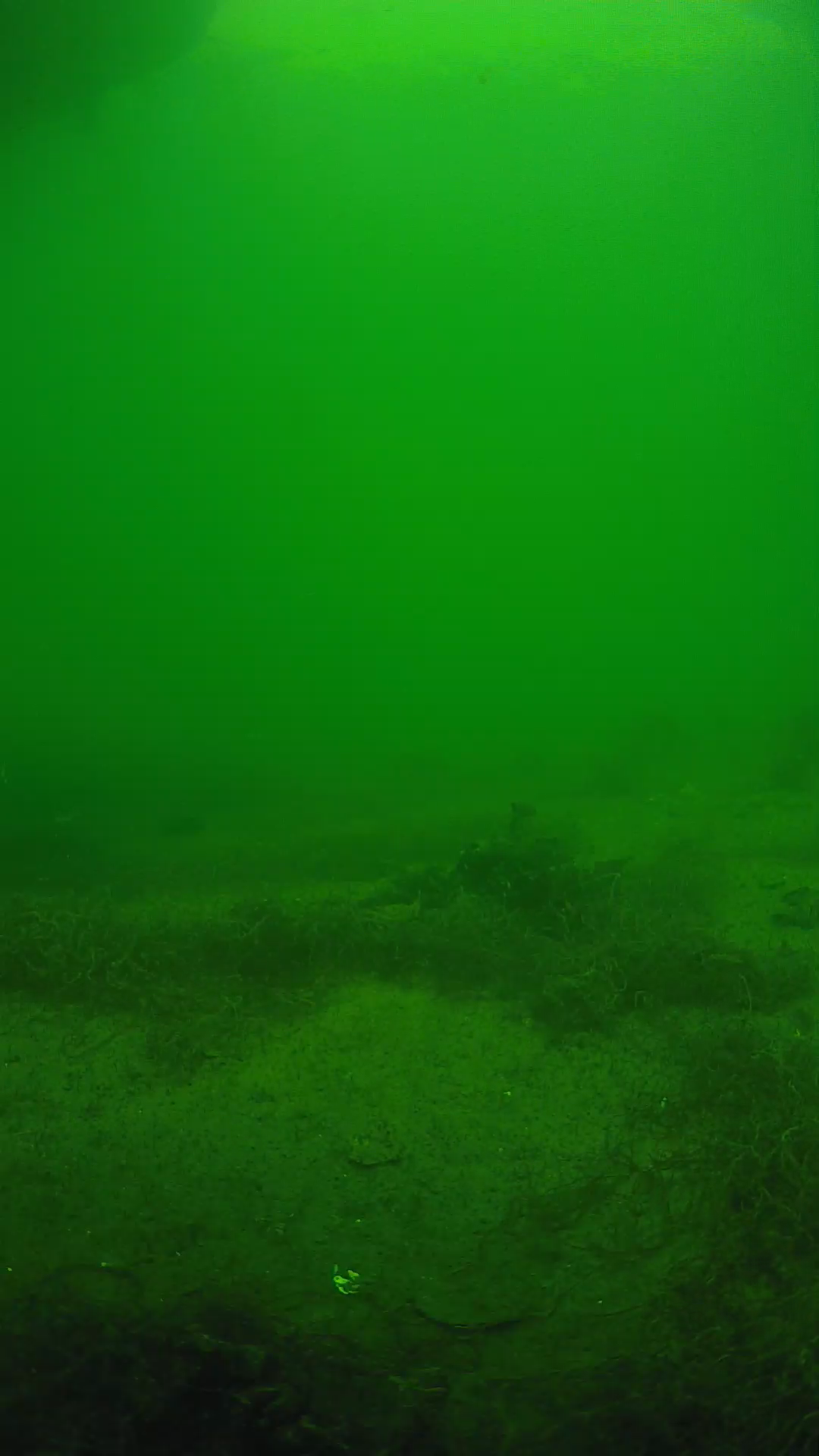 lander_ipcam_20250604144615.png
