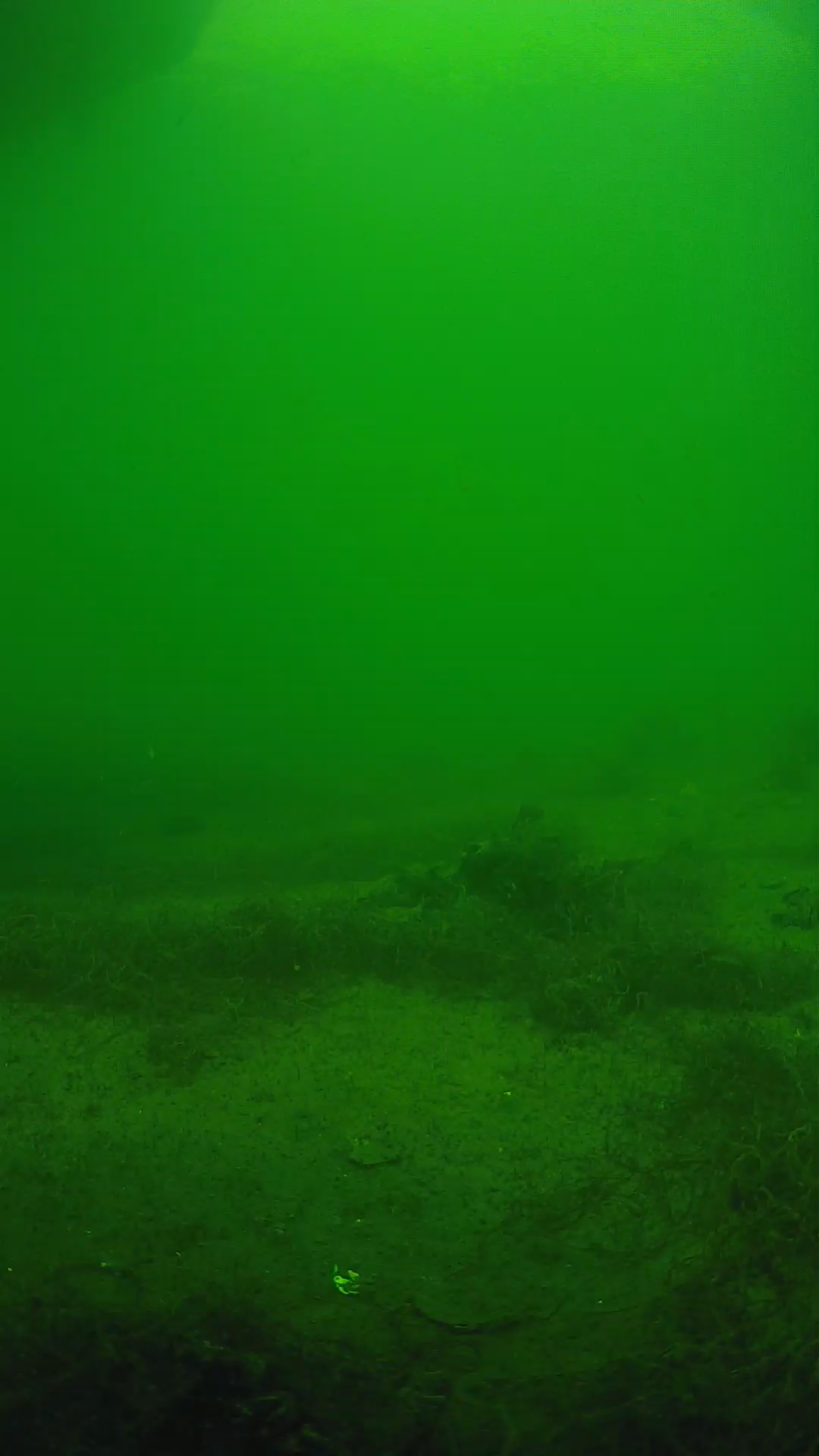 lander_ipcam_20250604144640.png