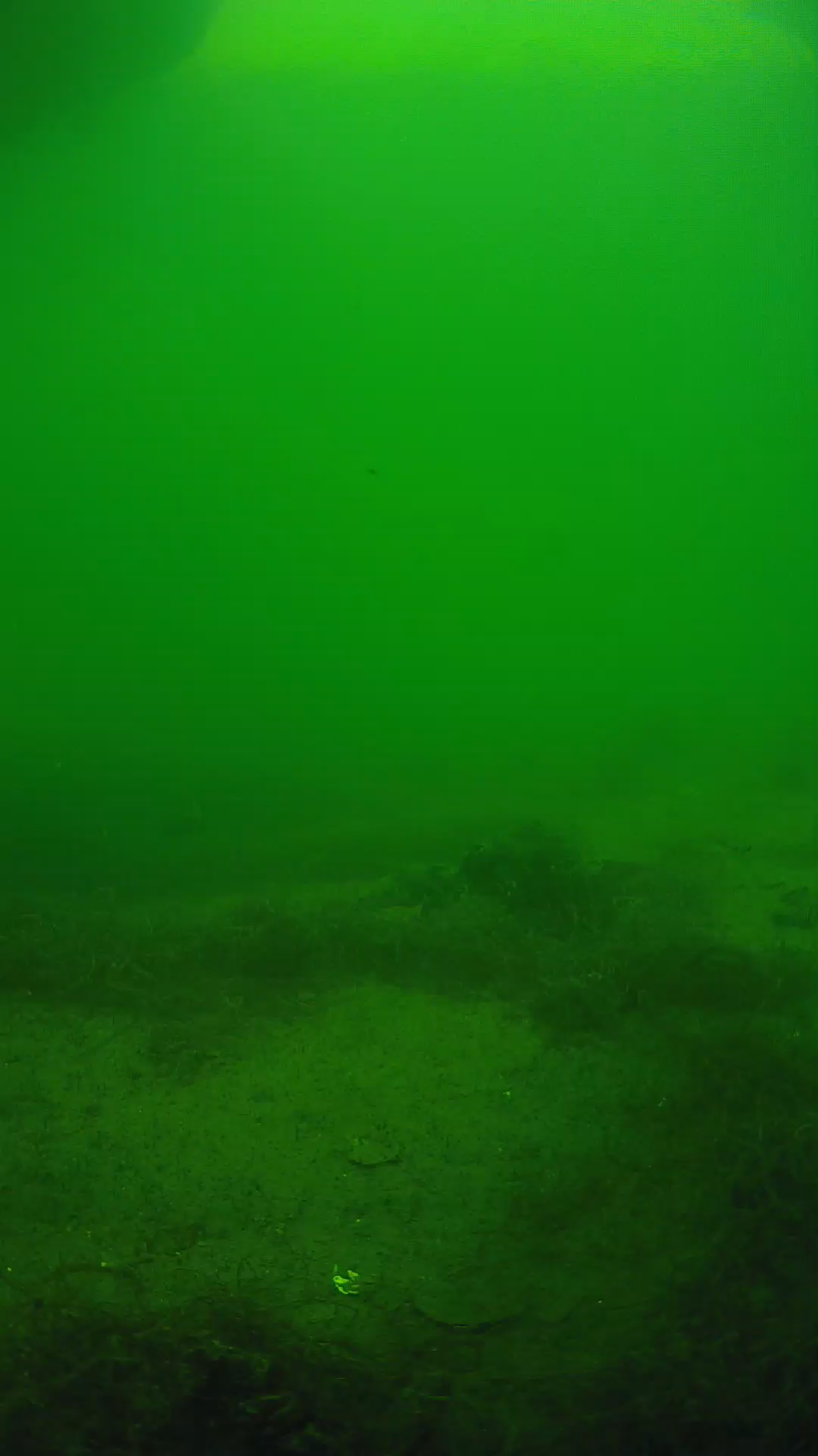 lander_ipcam_20250604150102.png