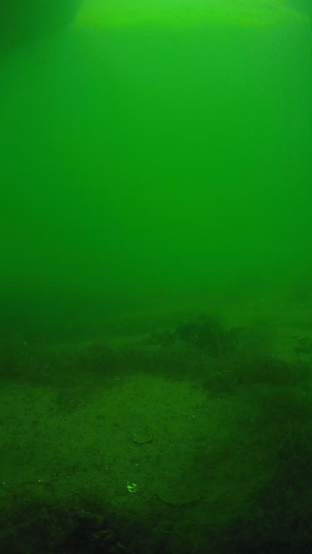 lander_ipcam_20250604150109.png