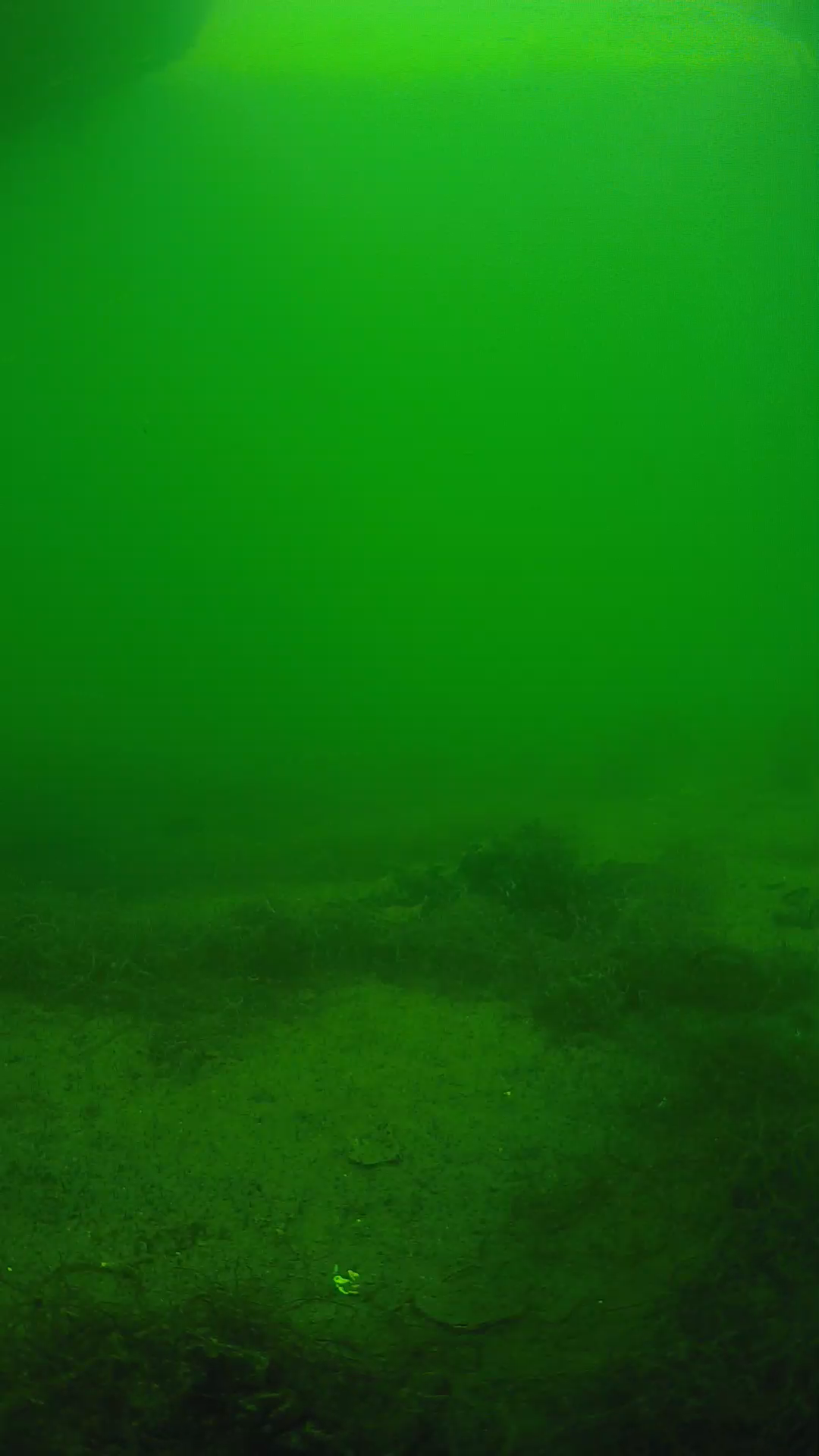 lander_ipcam_20250604150121.png