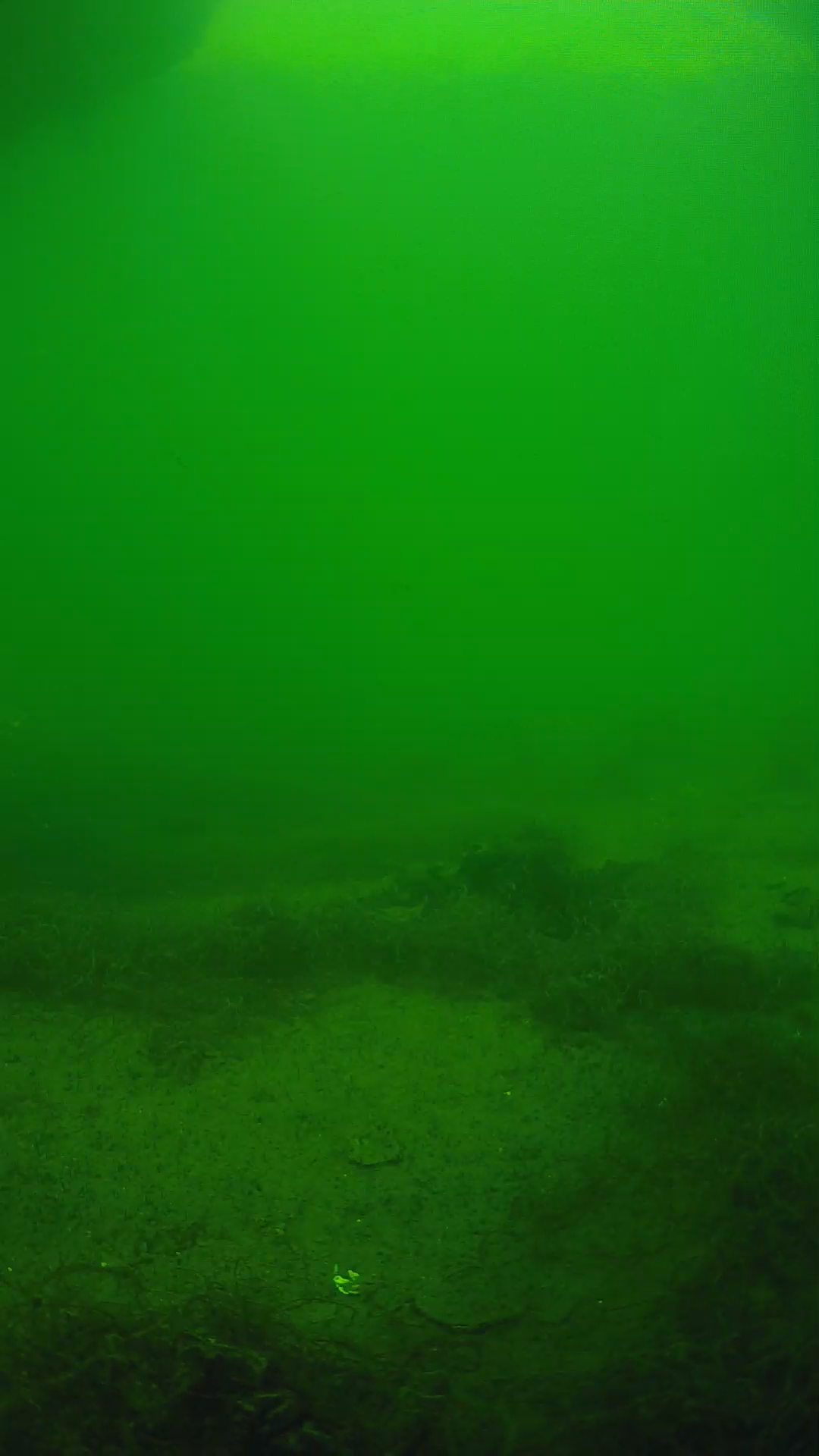 lander_ipcam_20250604150123.png
