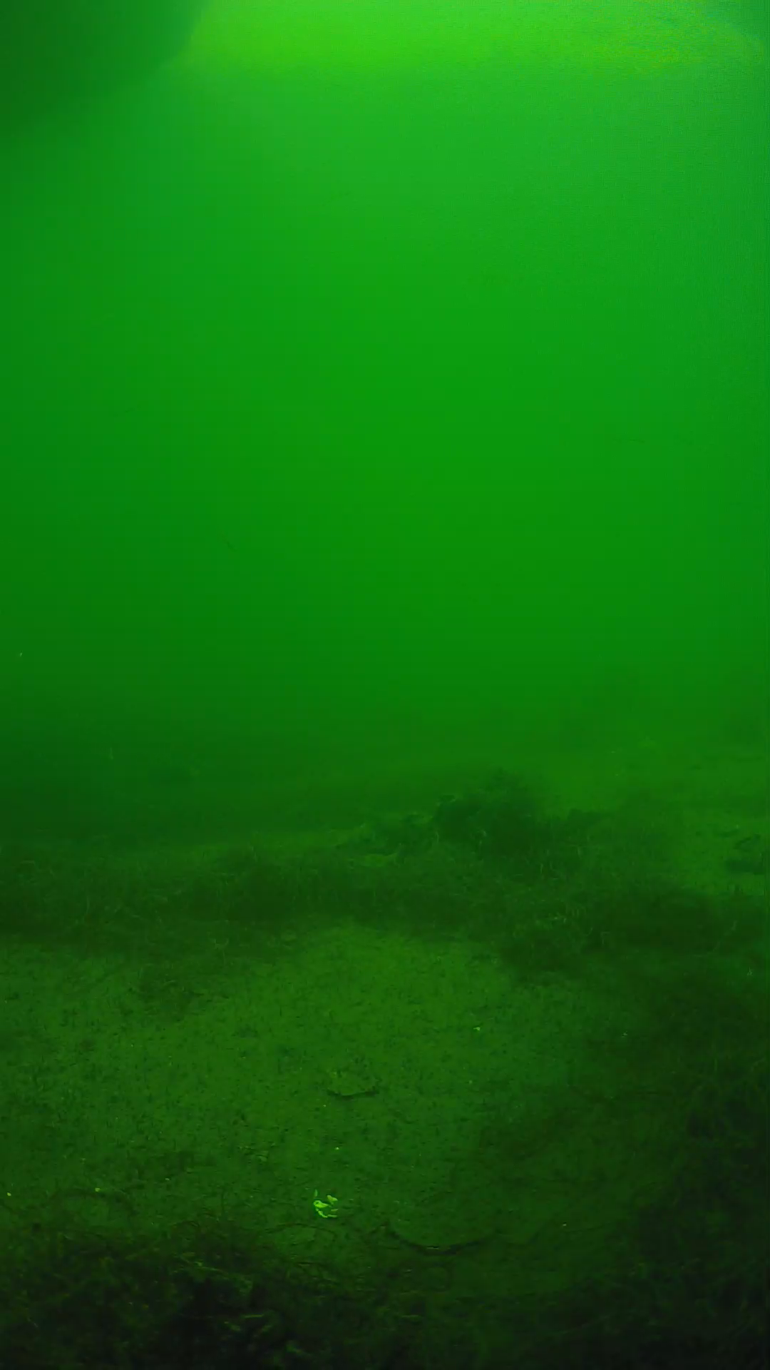 lander_ipcam_20250604150128.png