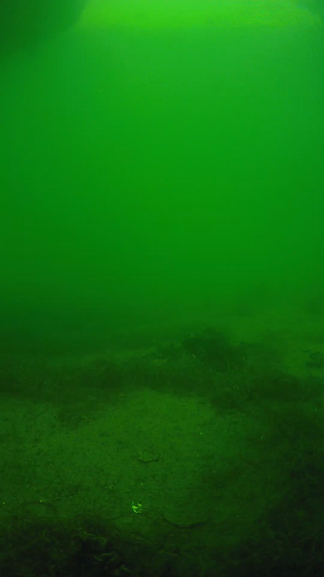 lander_ipcam_20250604150137.png