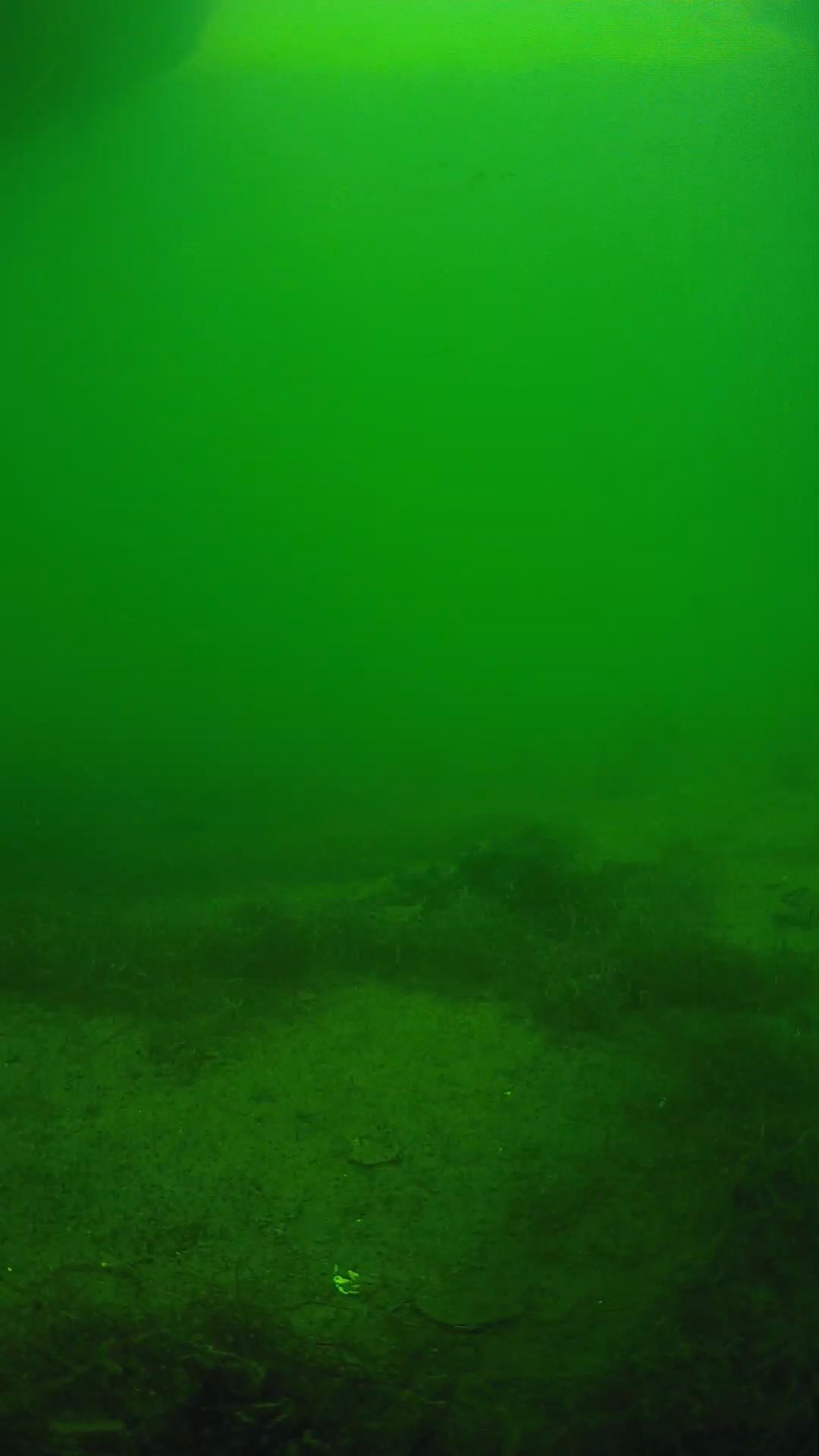 lander_ipcam_20250604150139.png