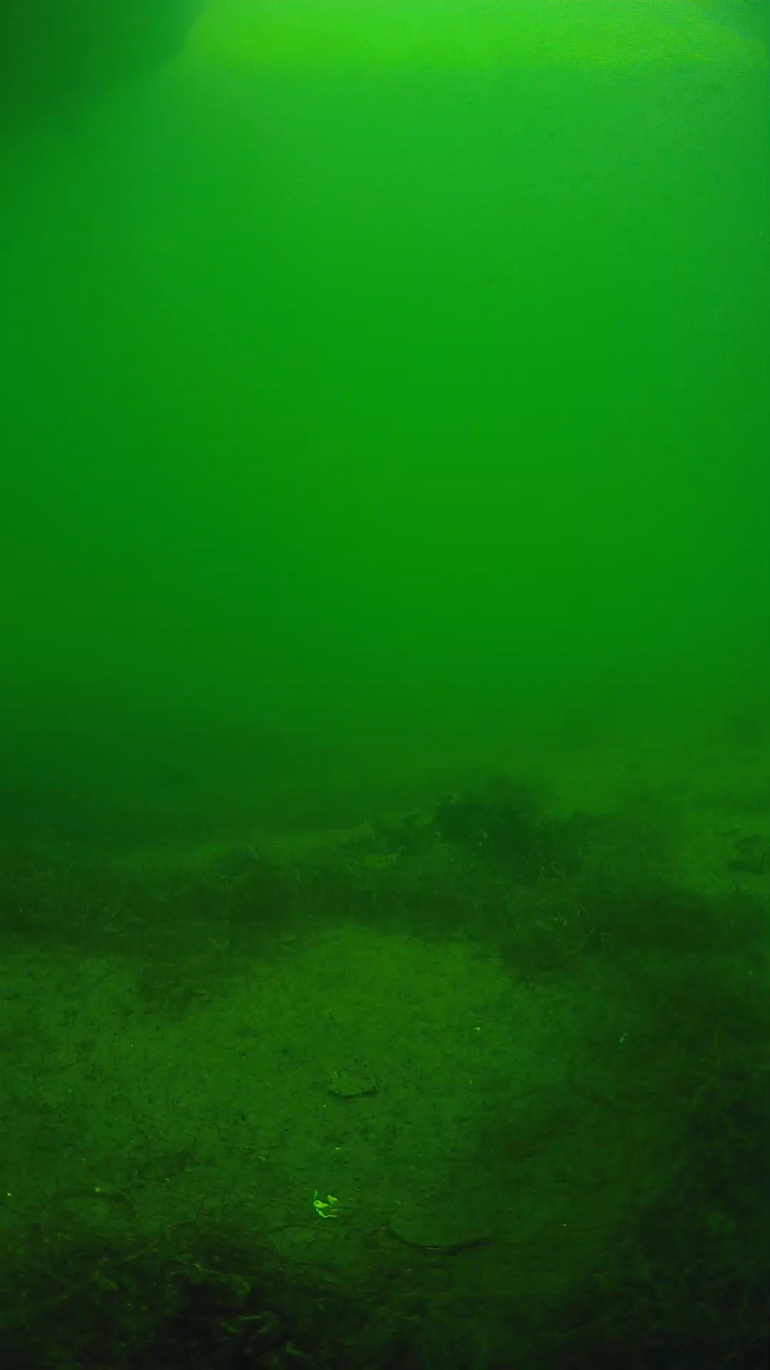 lander_ipcam_20250604150140.png