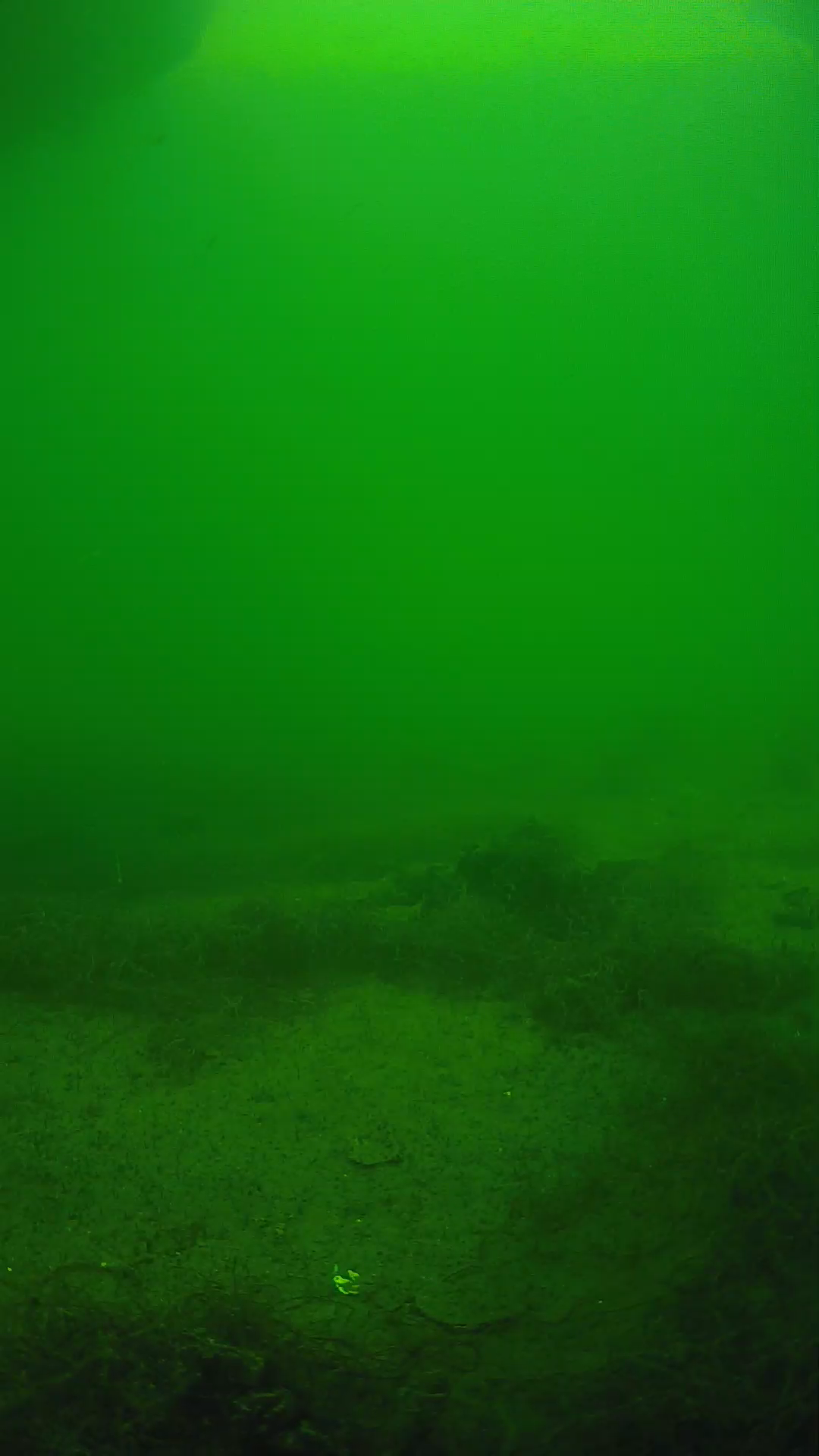 lander_ipcam_20250604150200.png