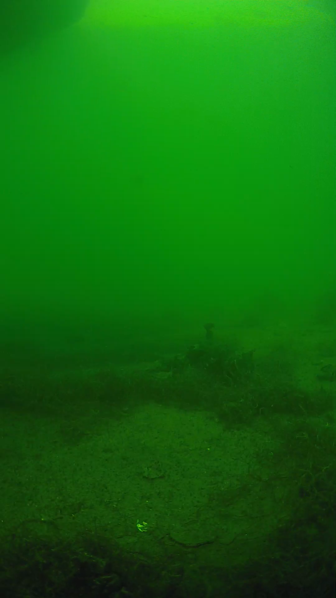 lander_ipcam_20250604151623.png