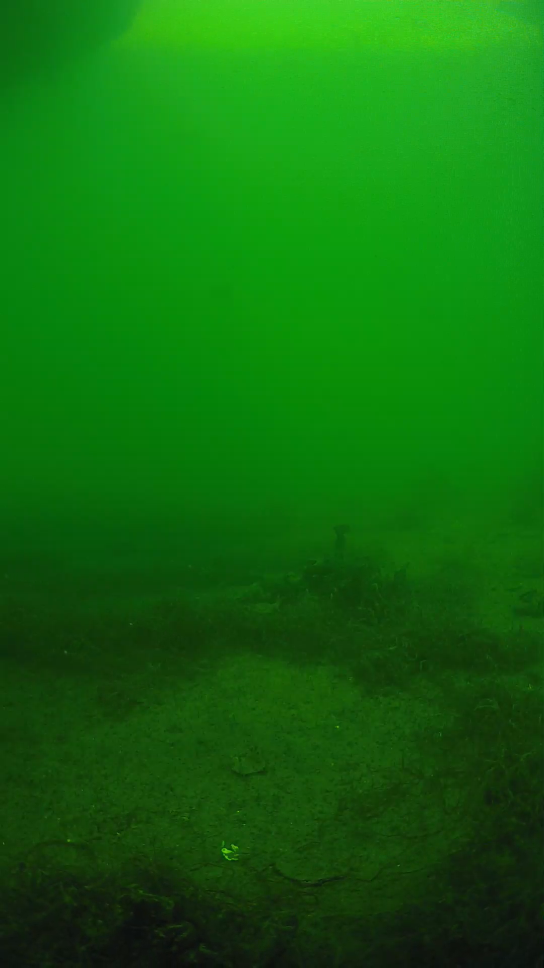 lander_ipcam_20250604151630.png