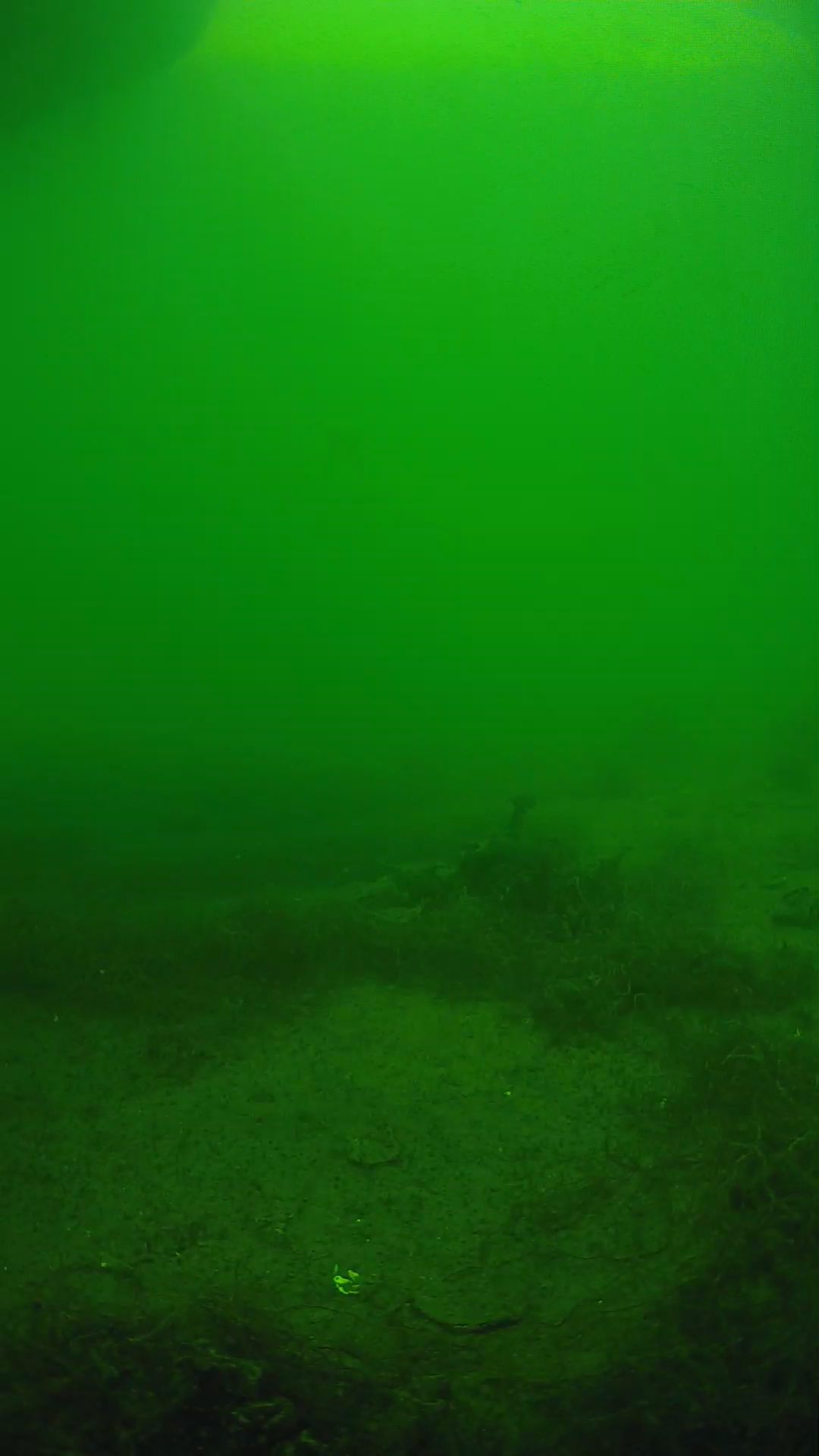lander_ipcam_20250604151632.png