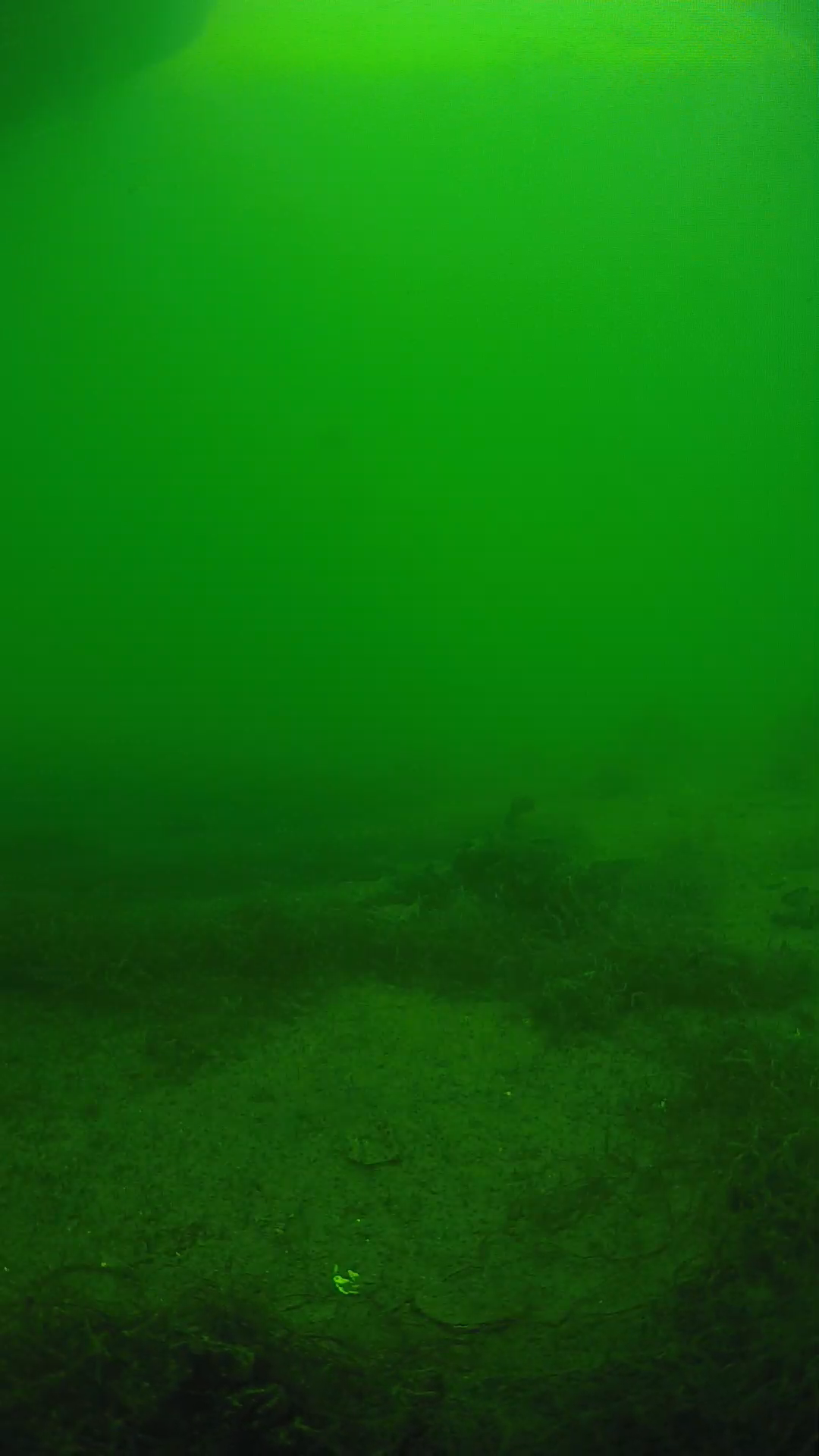 lander_ipcam_20250604151641.png