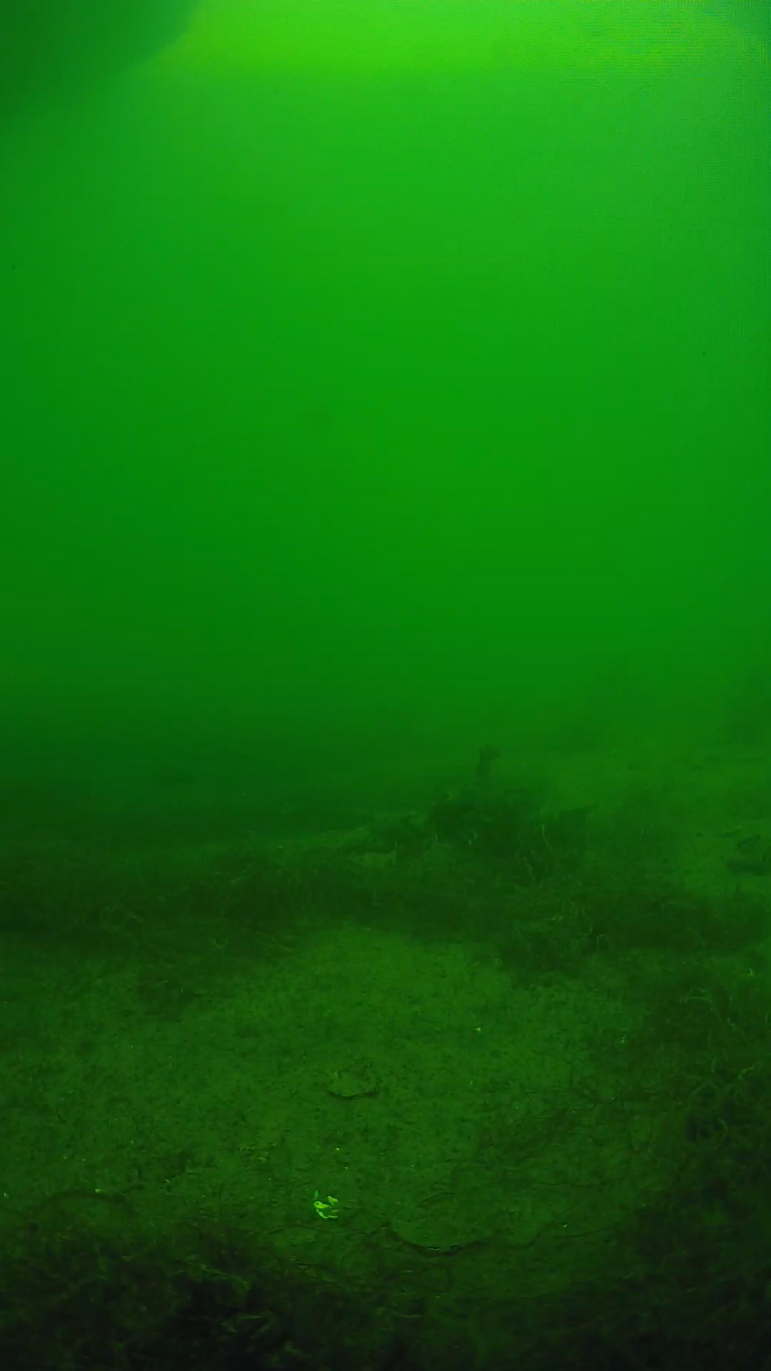 lander_ipcam_20250604151646.png