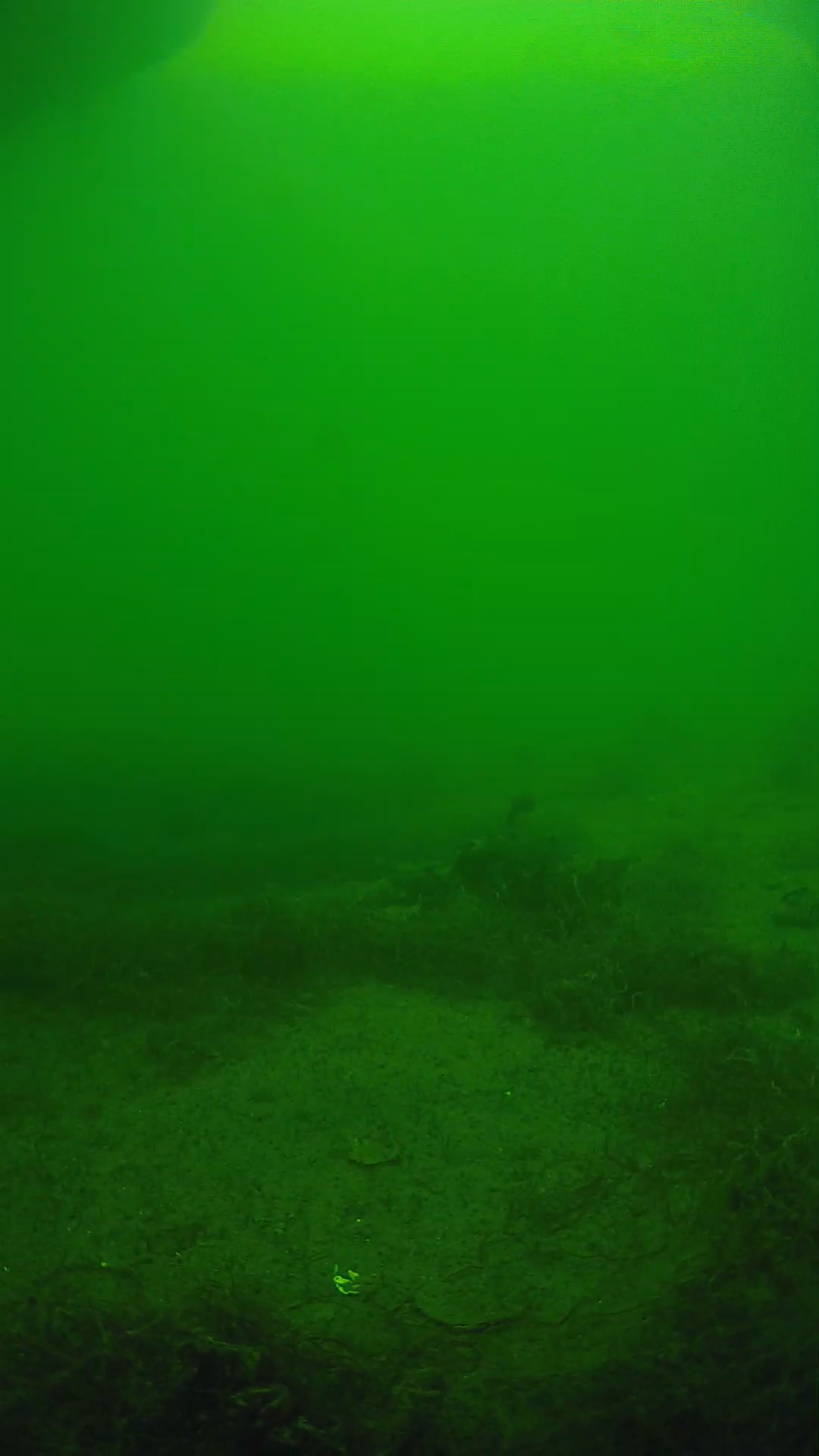 lander_ipcam_20250604151648.png