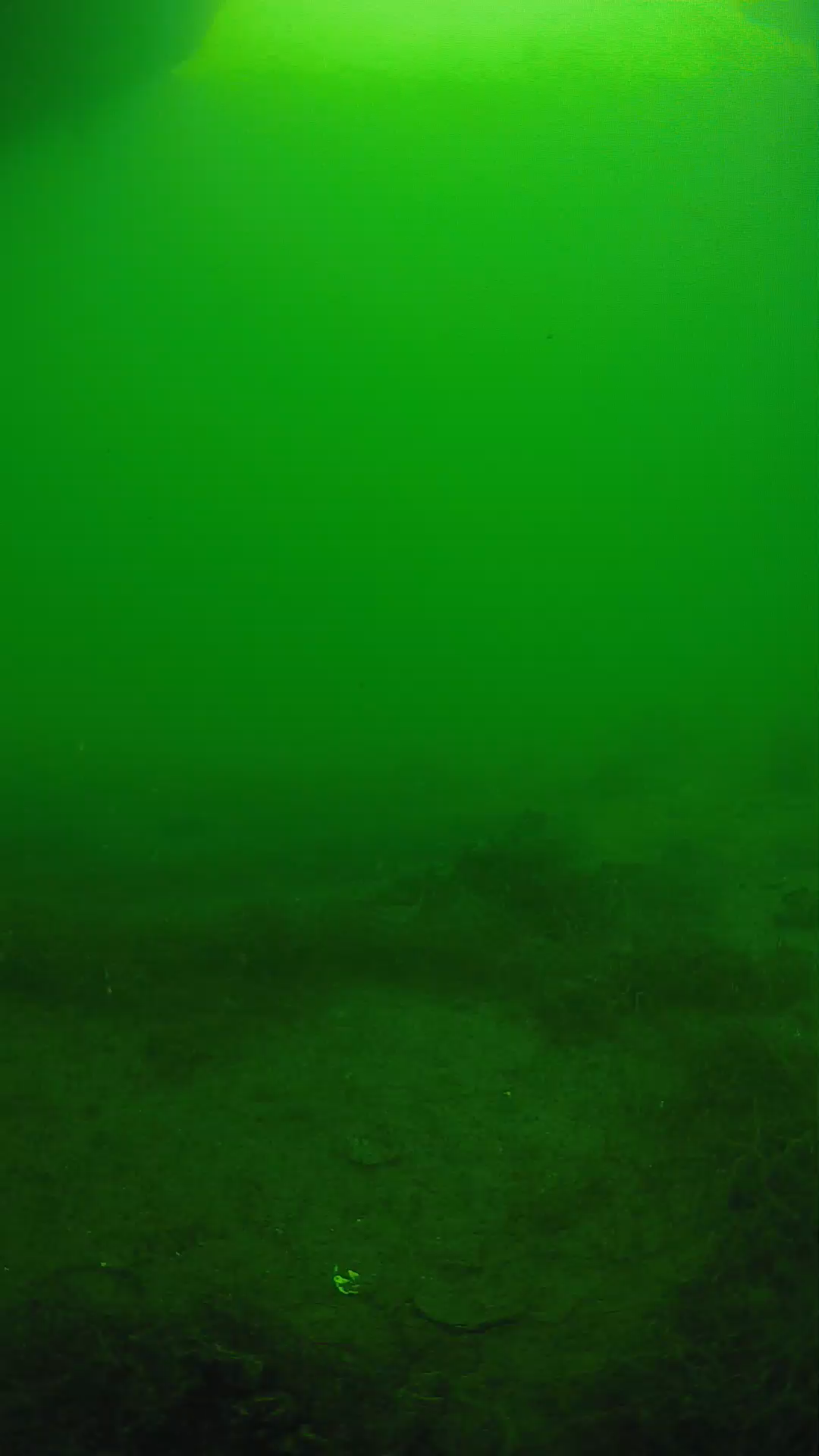 lander_ipcam_20250604153106.png