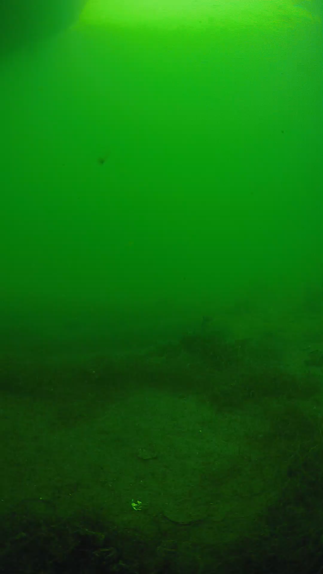 lander_ipcam_20250604153110.png