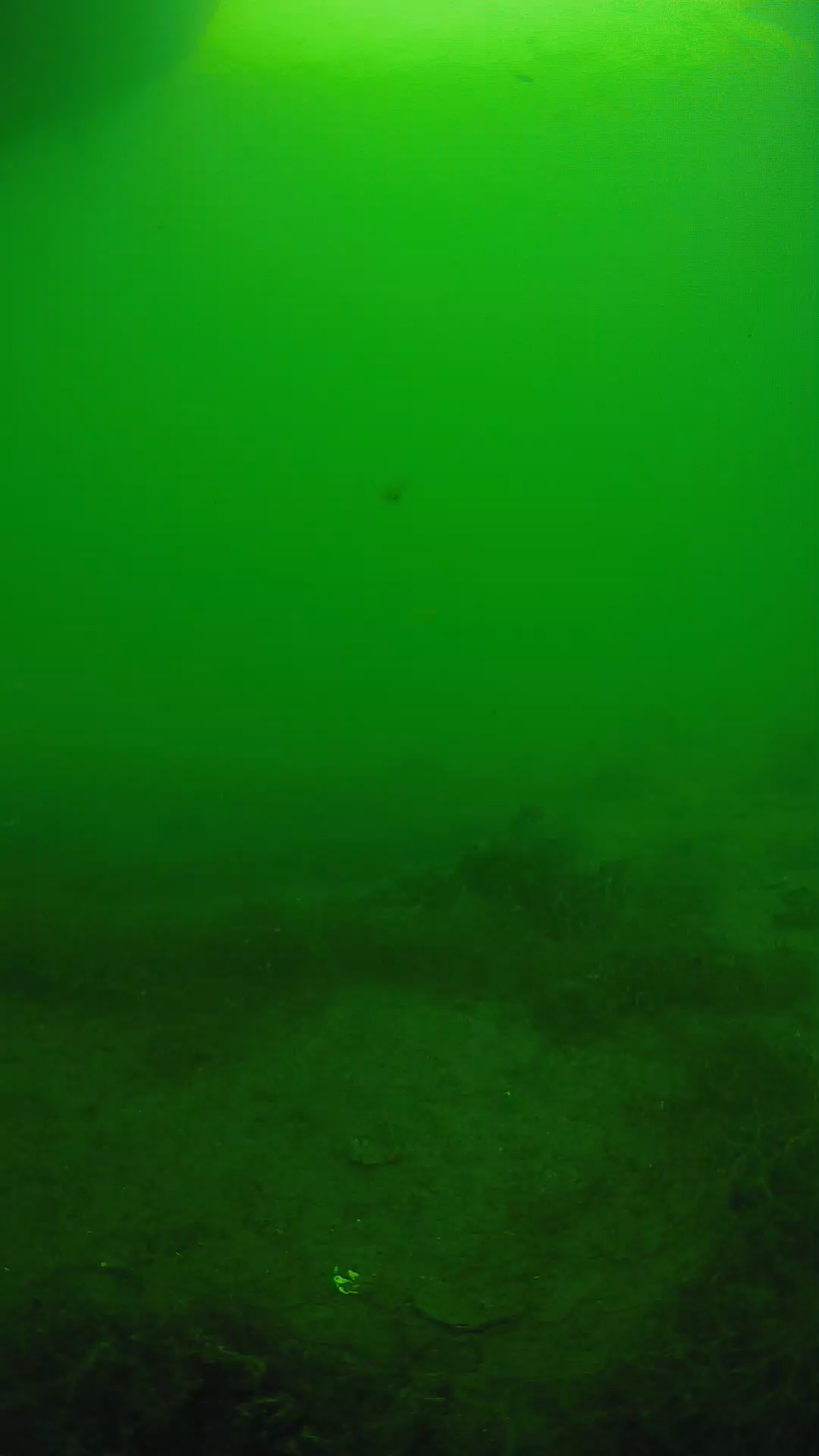lander_ipcam_20250604153111.png