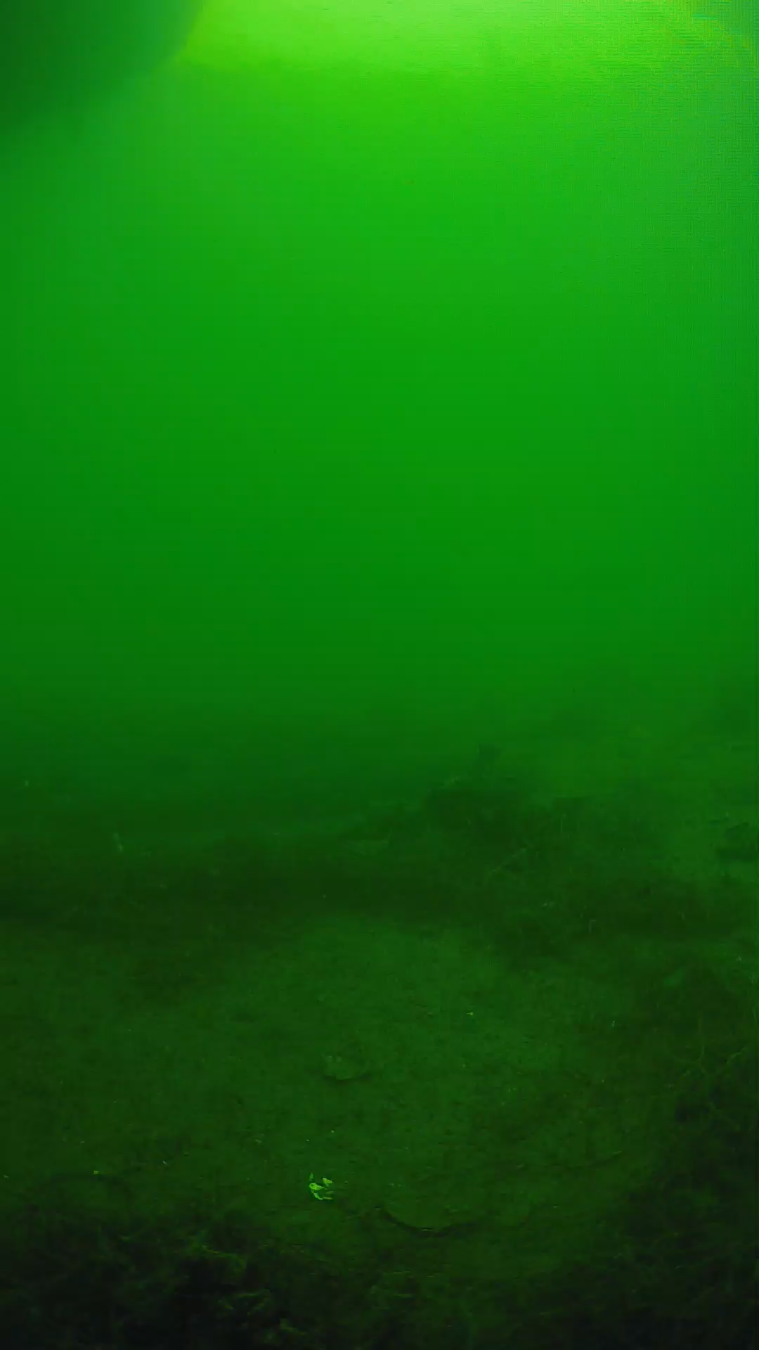 lander_ipcam_20250604153116.png