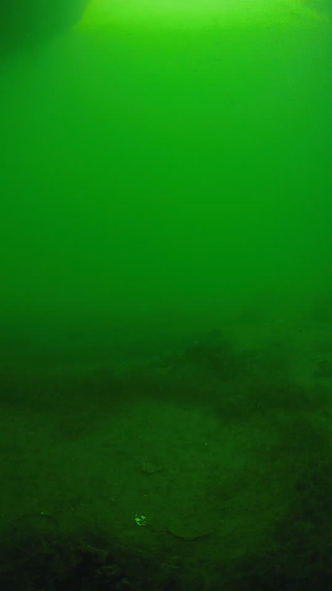 lander_ipcam_20250604153128.png