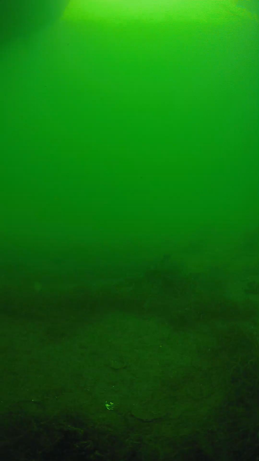 lander_ipcam_20250604153141.png