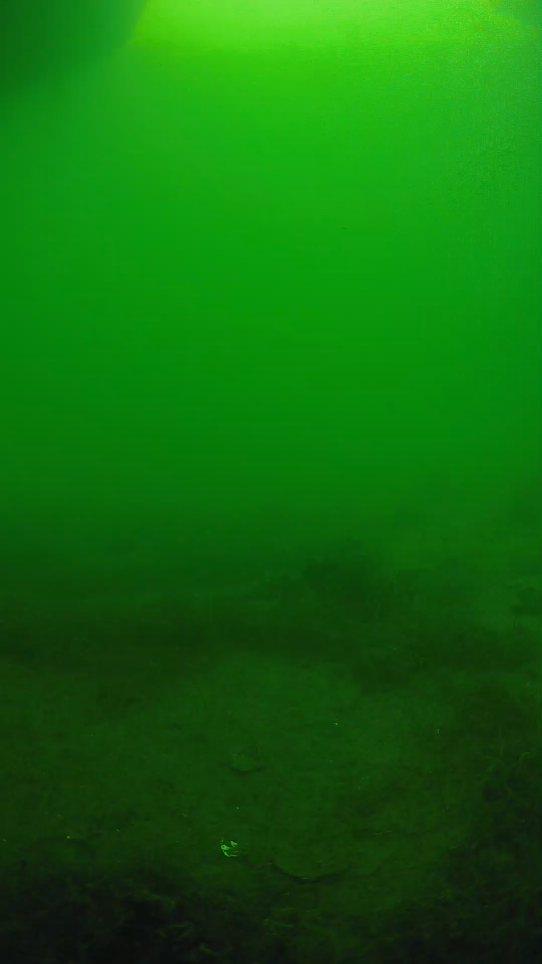 lander_ipcam_20250604153159.png