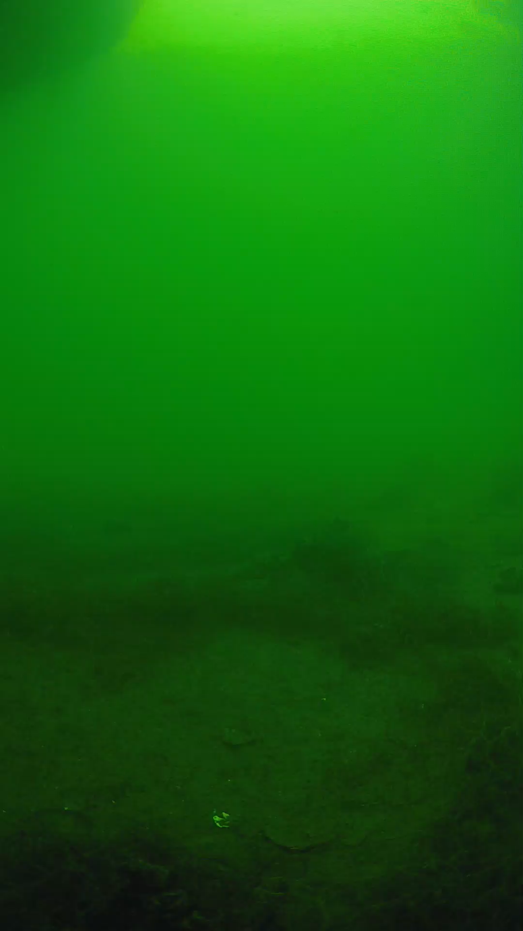 lander_ipcam_20250604153200.png