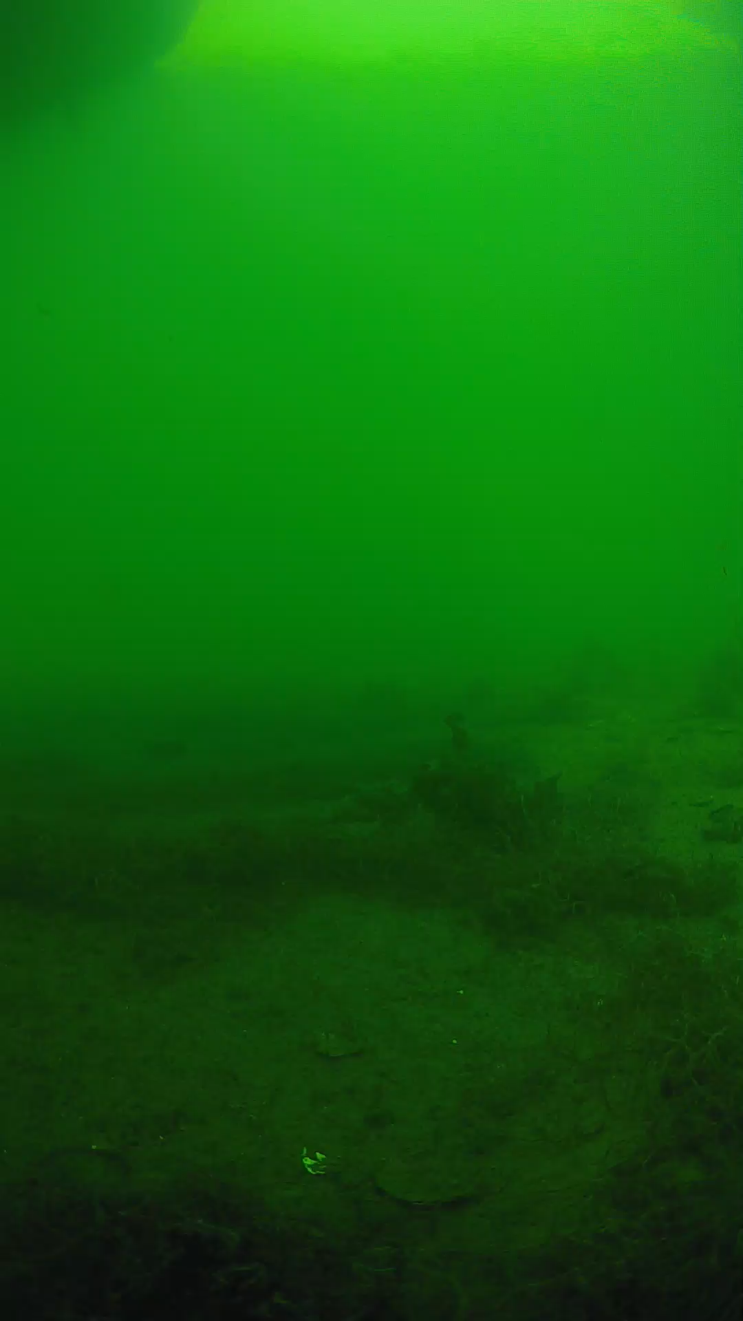 lander_ipcam_20250604154643.png