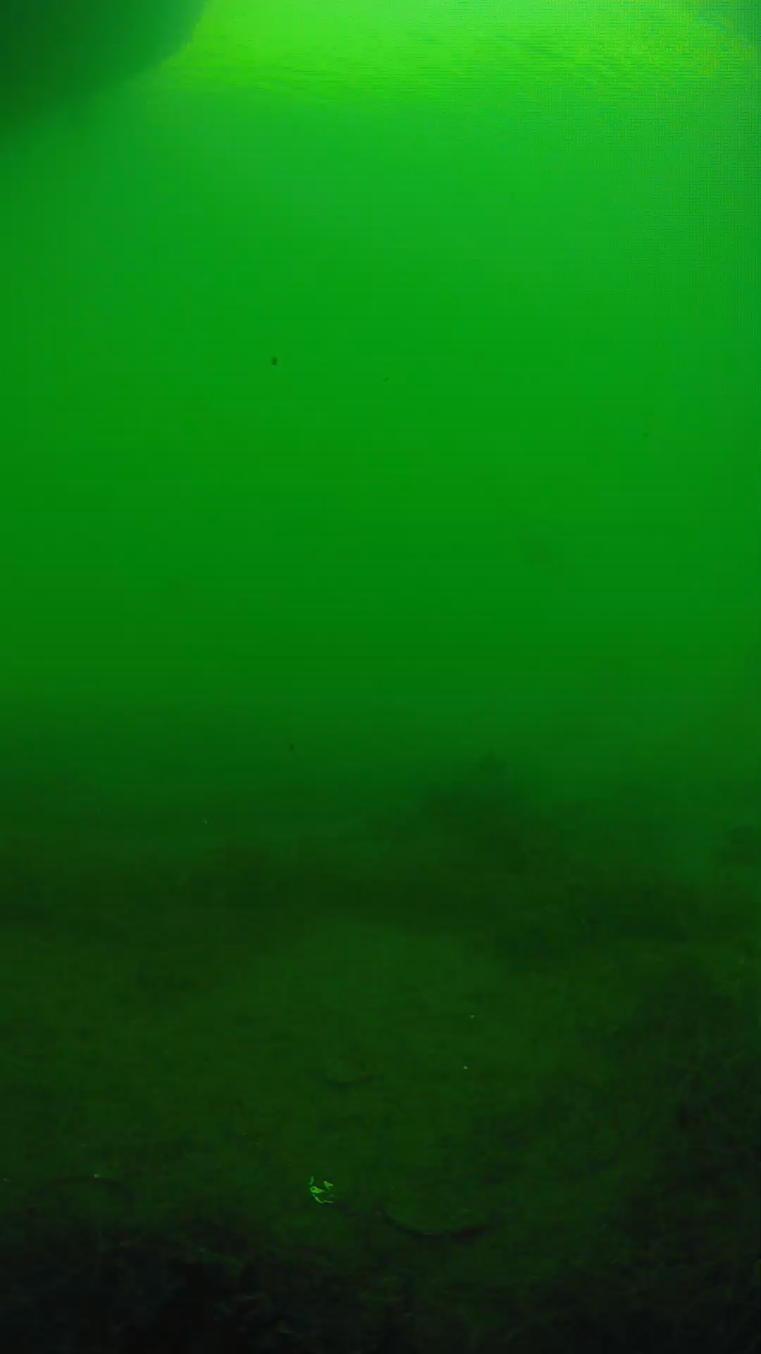 lander_ipcam_20250604161605.png