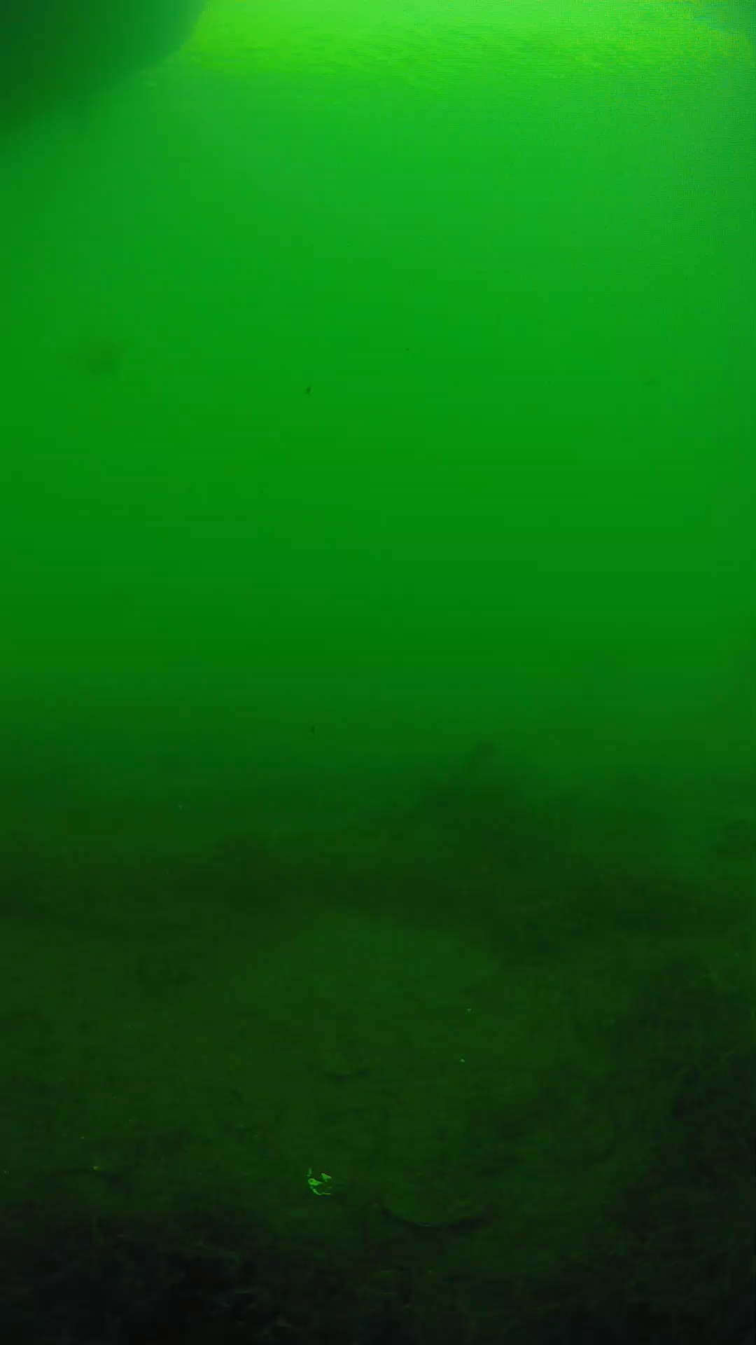 lander_ipcam_20250604161608.png