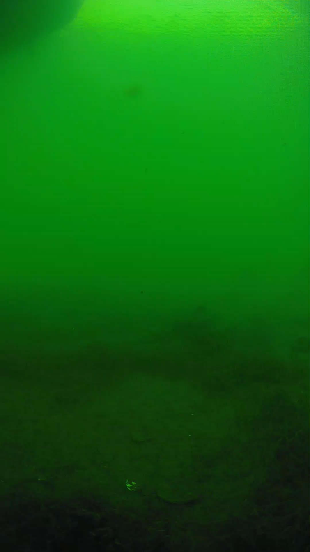 lander_ipcam_20250604161611.png