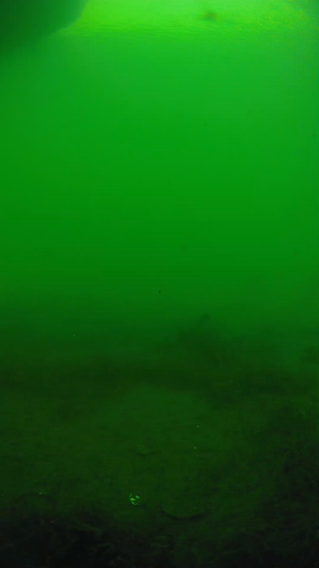 lander_ipcam_20250604161614.png