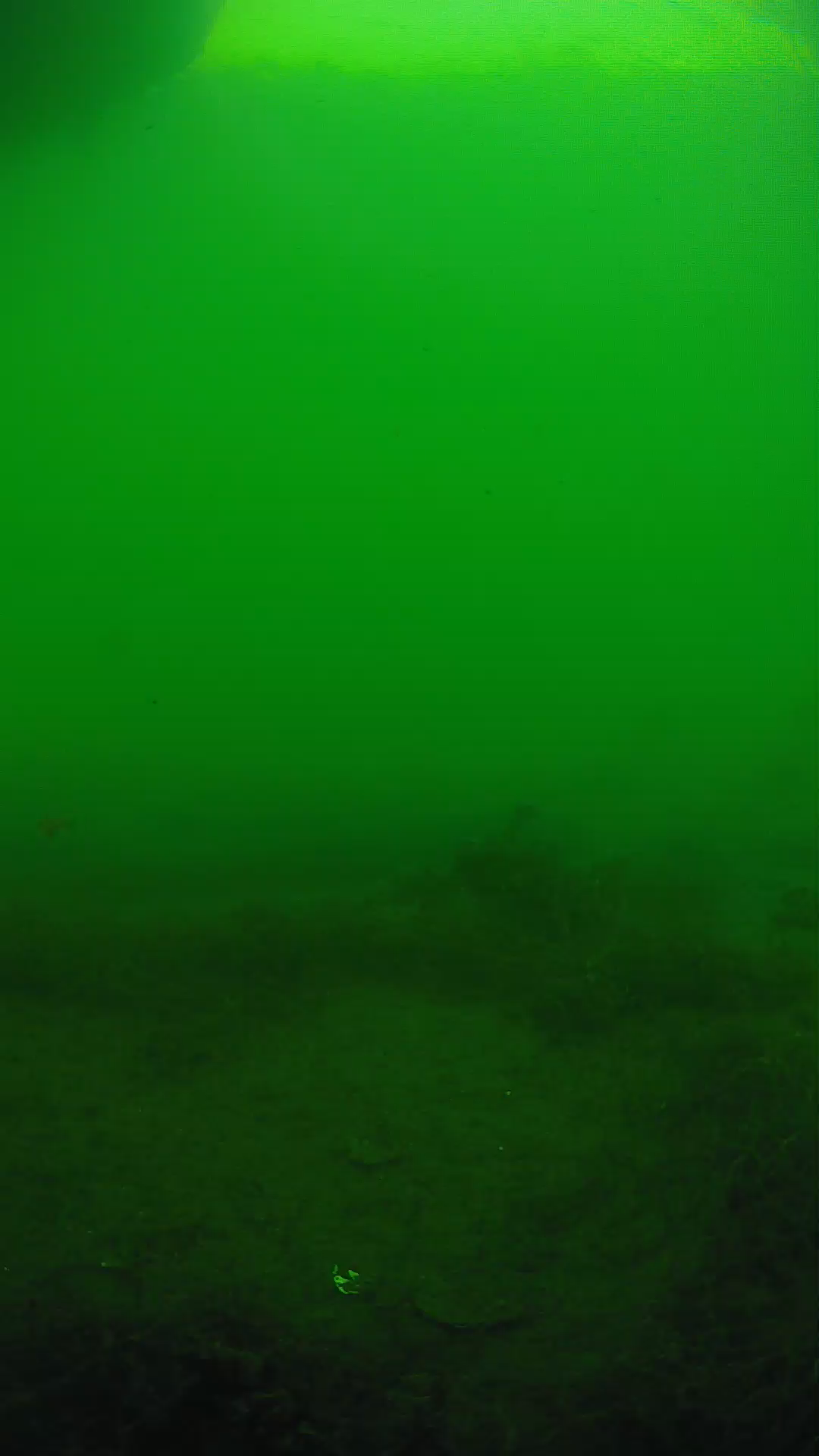 lander_ipcam_20250604161701.png