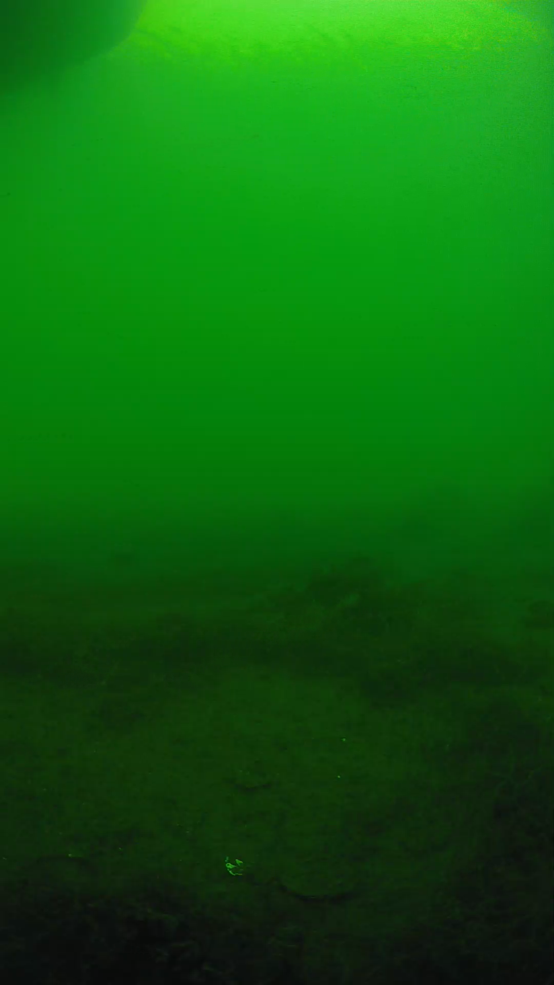 lander_ipcam_20250604163148.png