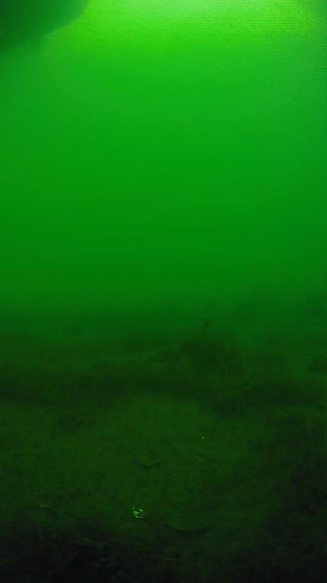 lander_ipcam_20250604164606.png