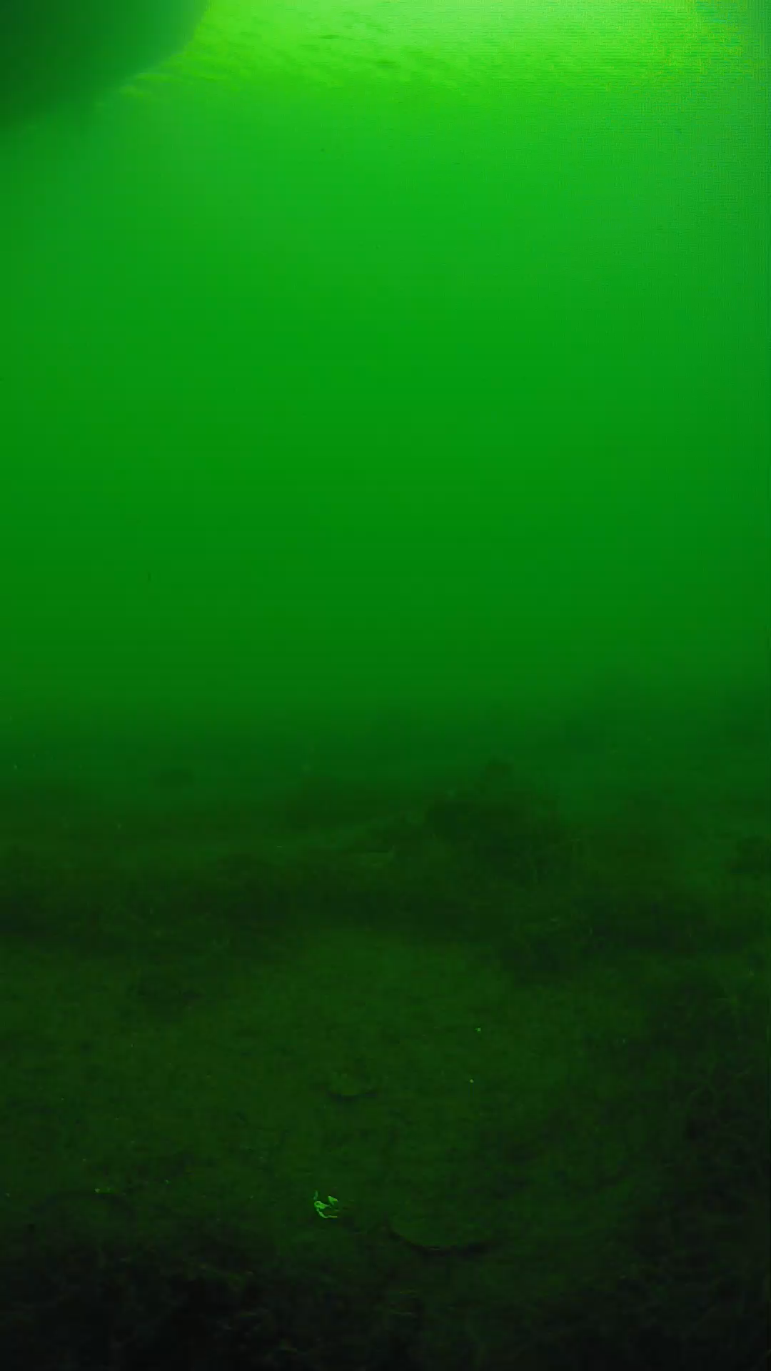 lander_ipcam_20250604164643.png
