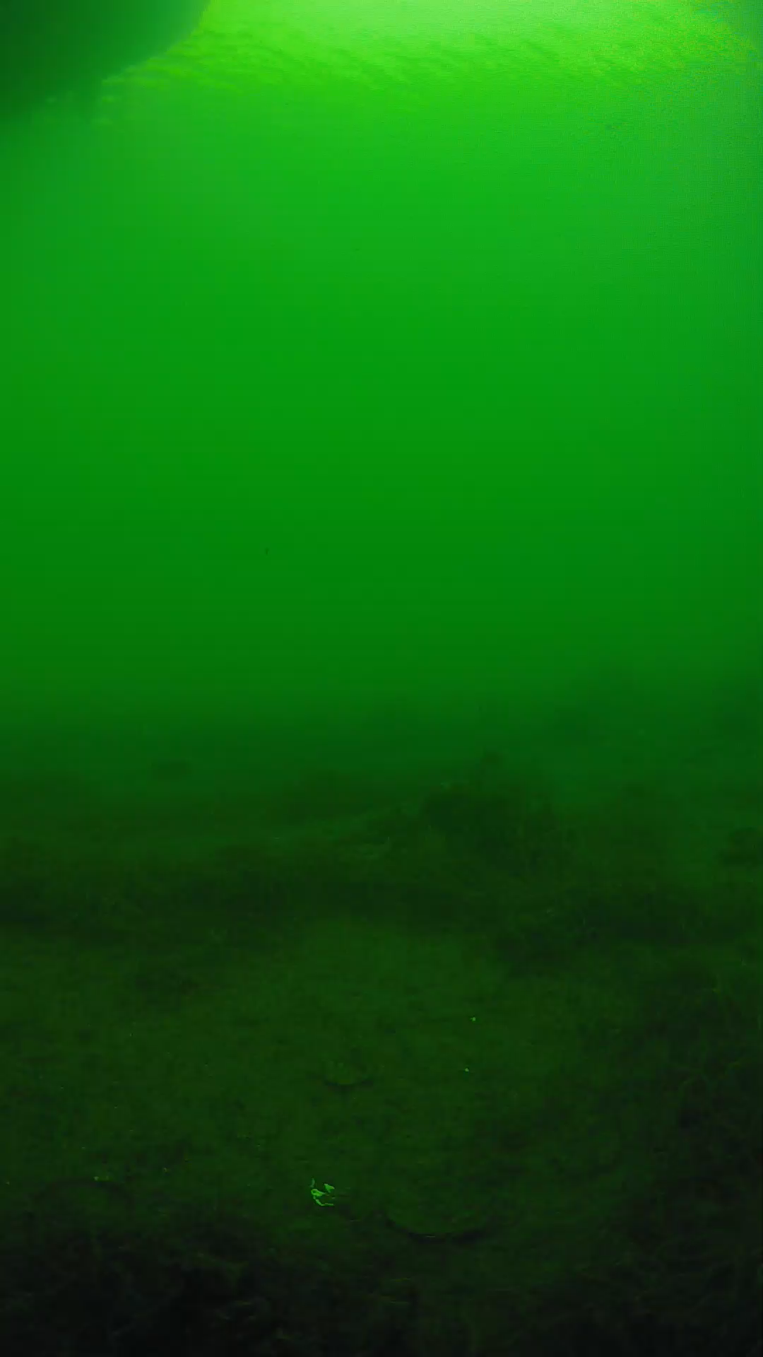 lander_ipcam_20250604164700.png