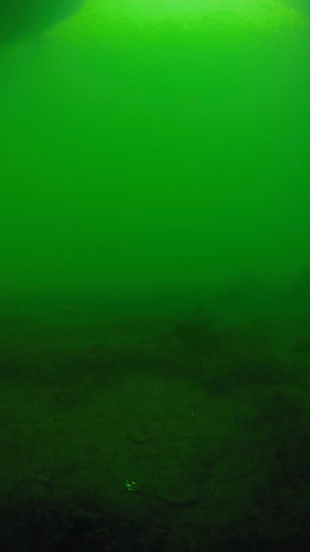lander_ipcam_20250604170118.png