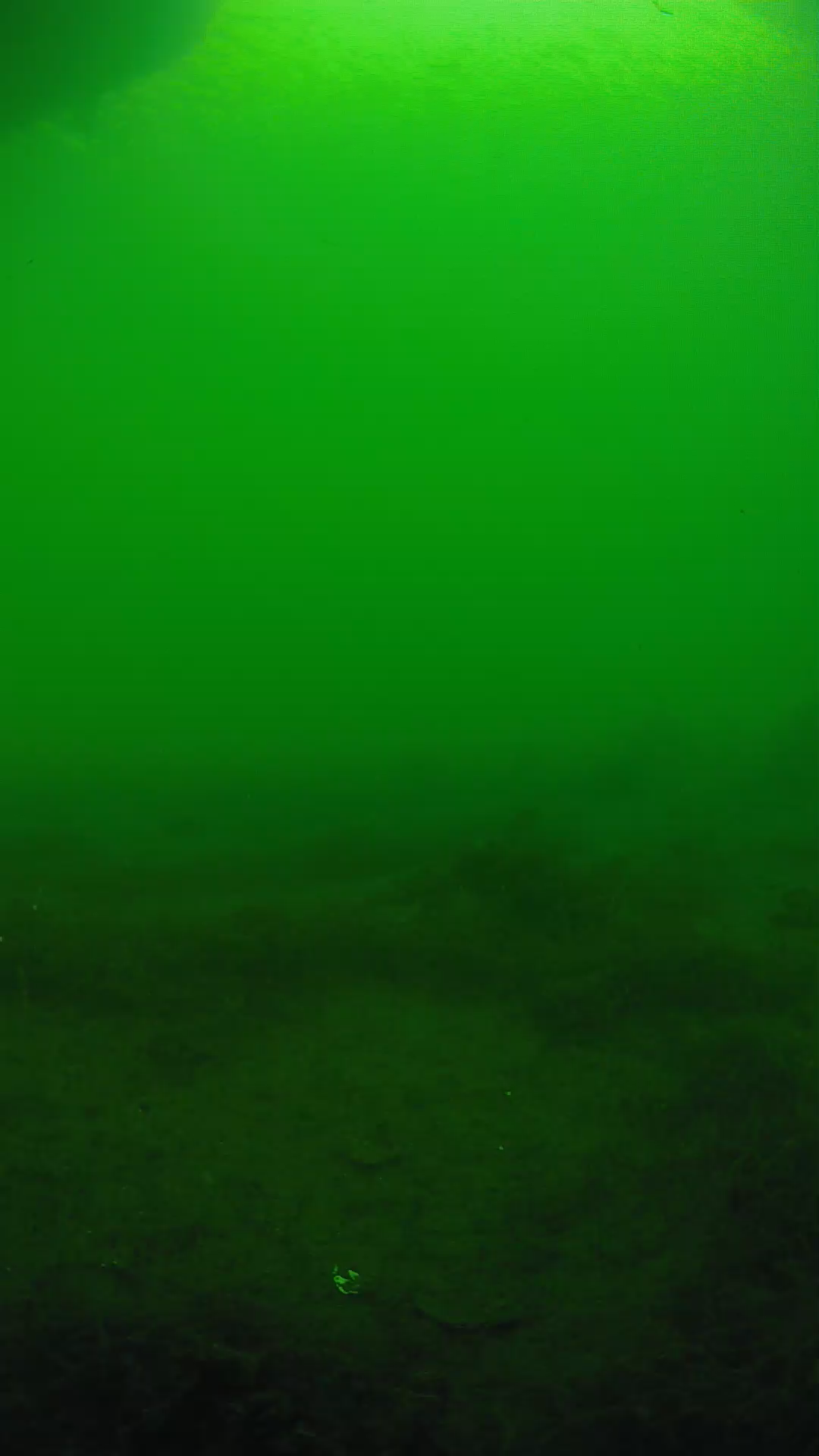 lander_ipcam_20250604170131.png