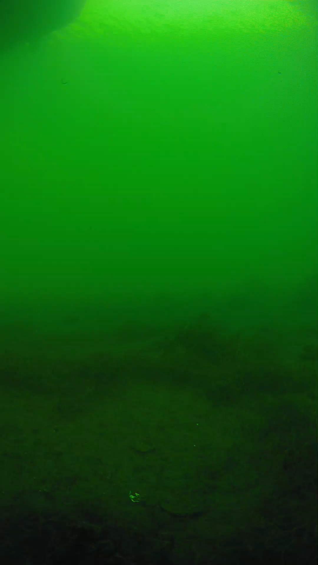 lander_ipcam_20250604170147.png