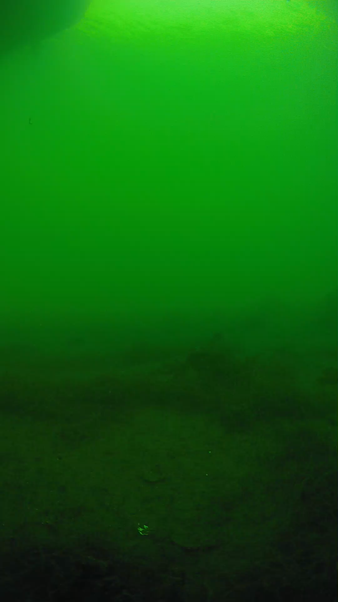 lander_ipcam_20250604170156.png