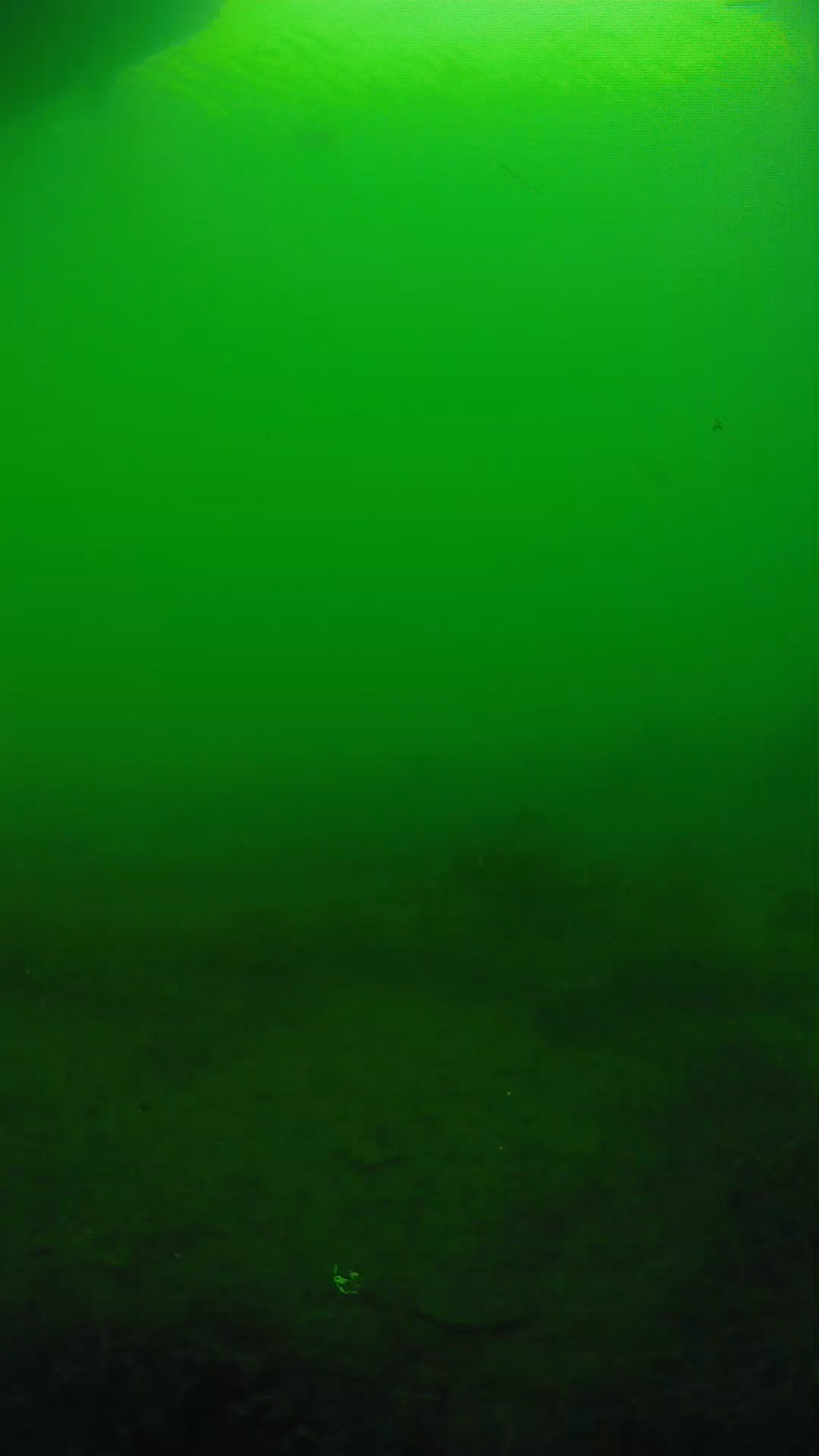 lander_ipcam_20250604171604.png