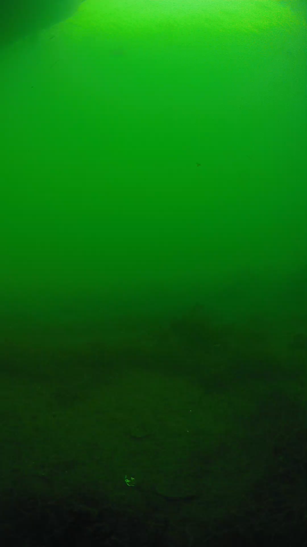 lander_ipcam_20250604171620.png