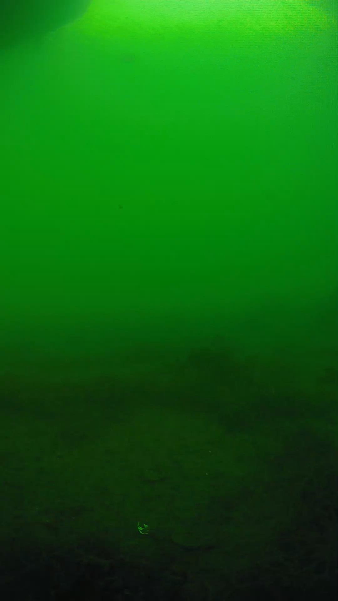 lander_ipcam_20250604171633.png