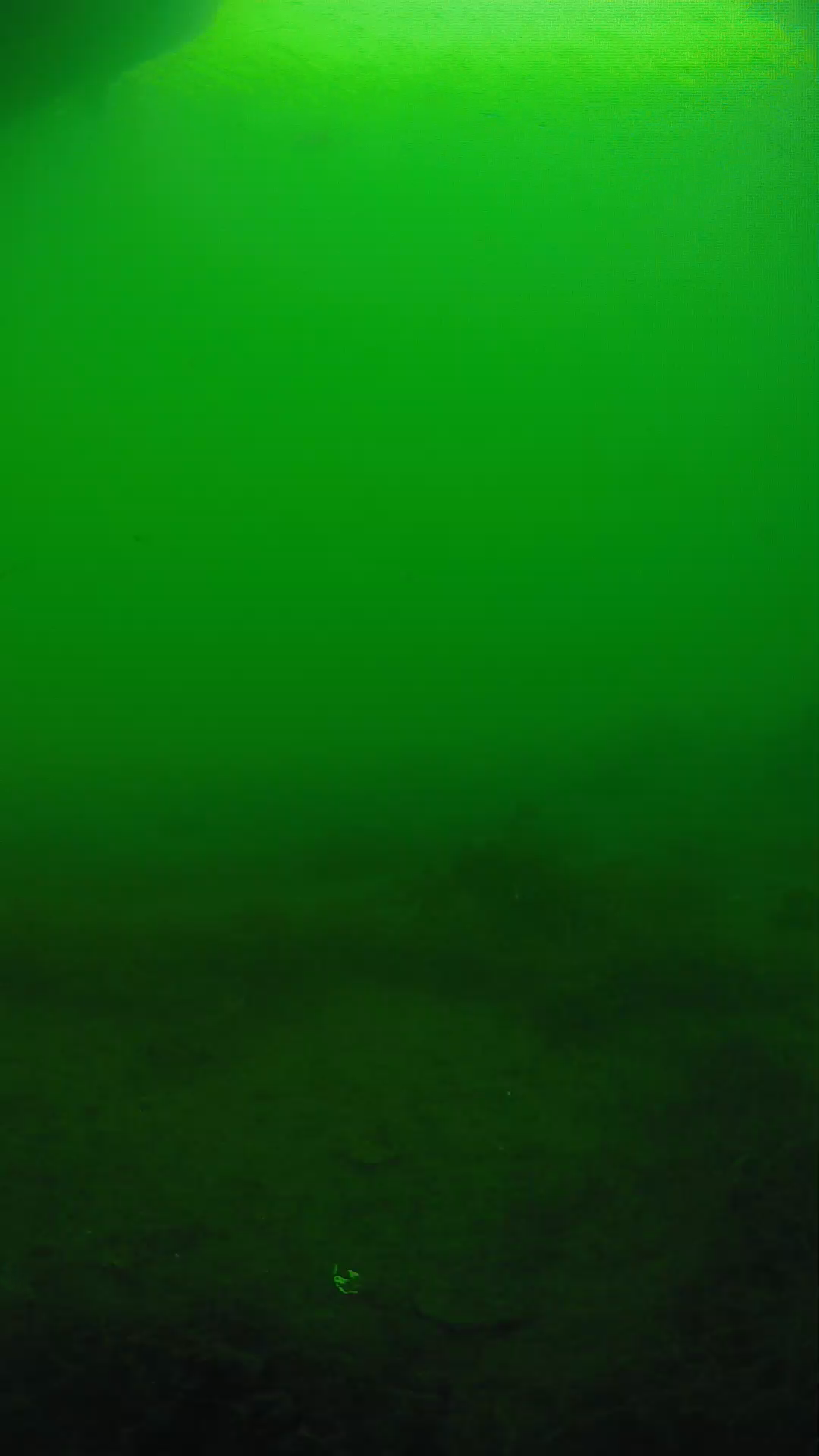 lander_ipcam_20250604171646.png