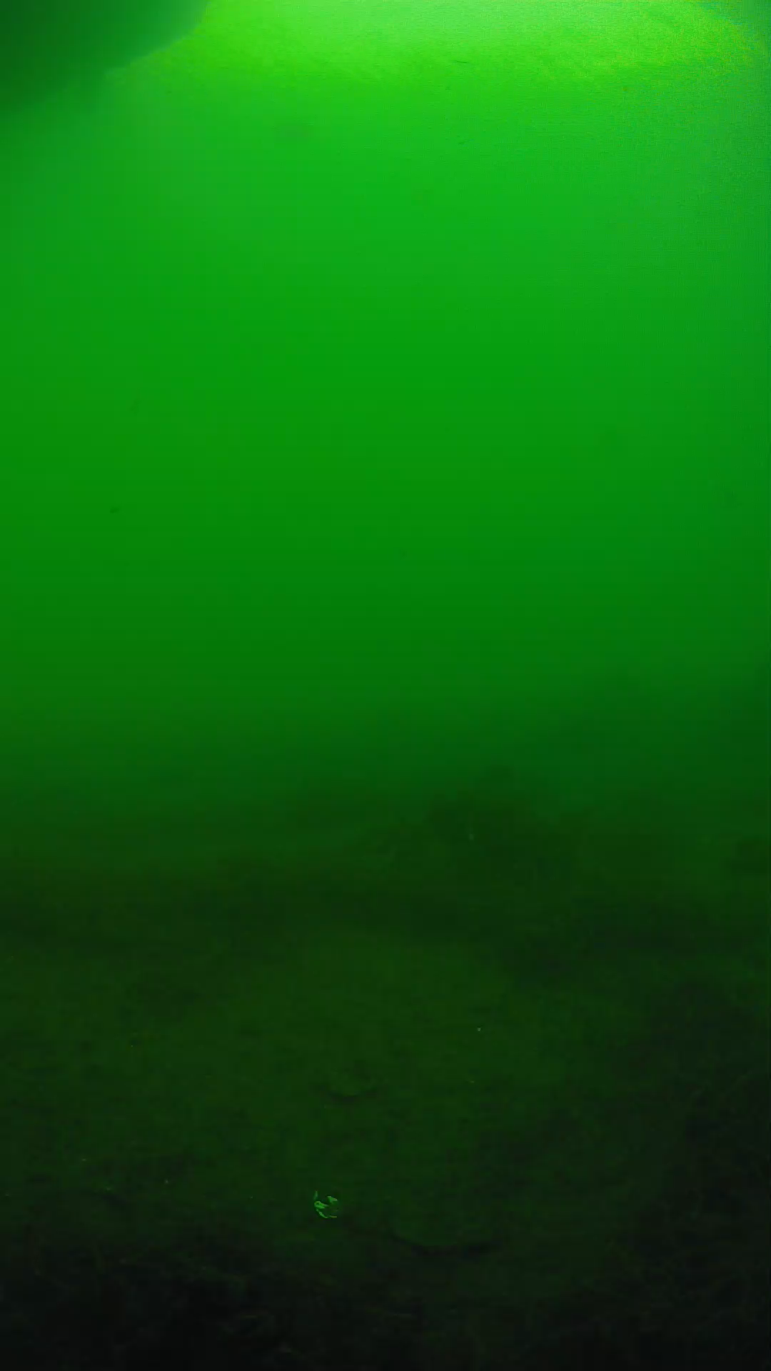 lander_ipcam_20250604171648.png